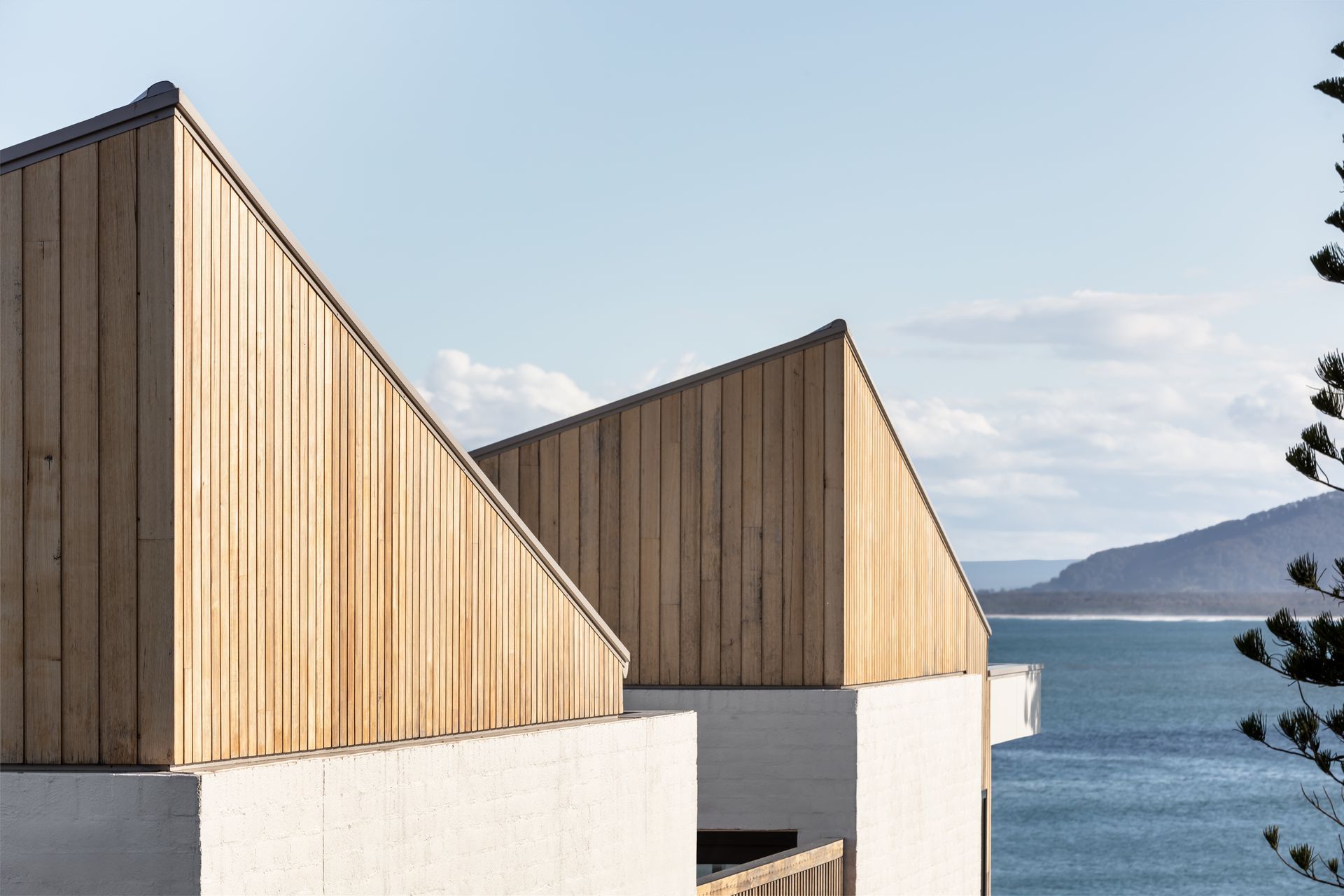 White & Timber House