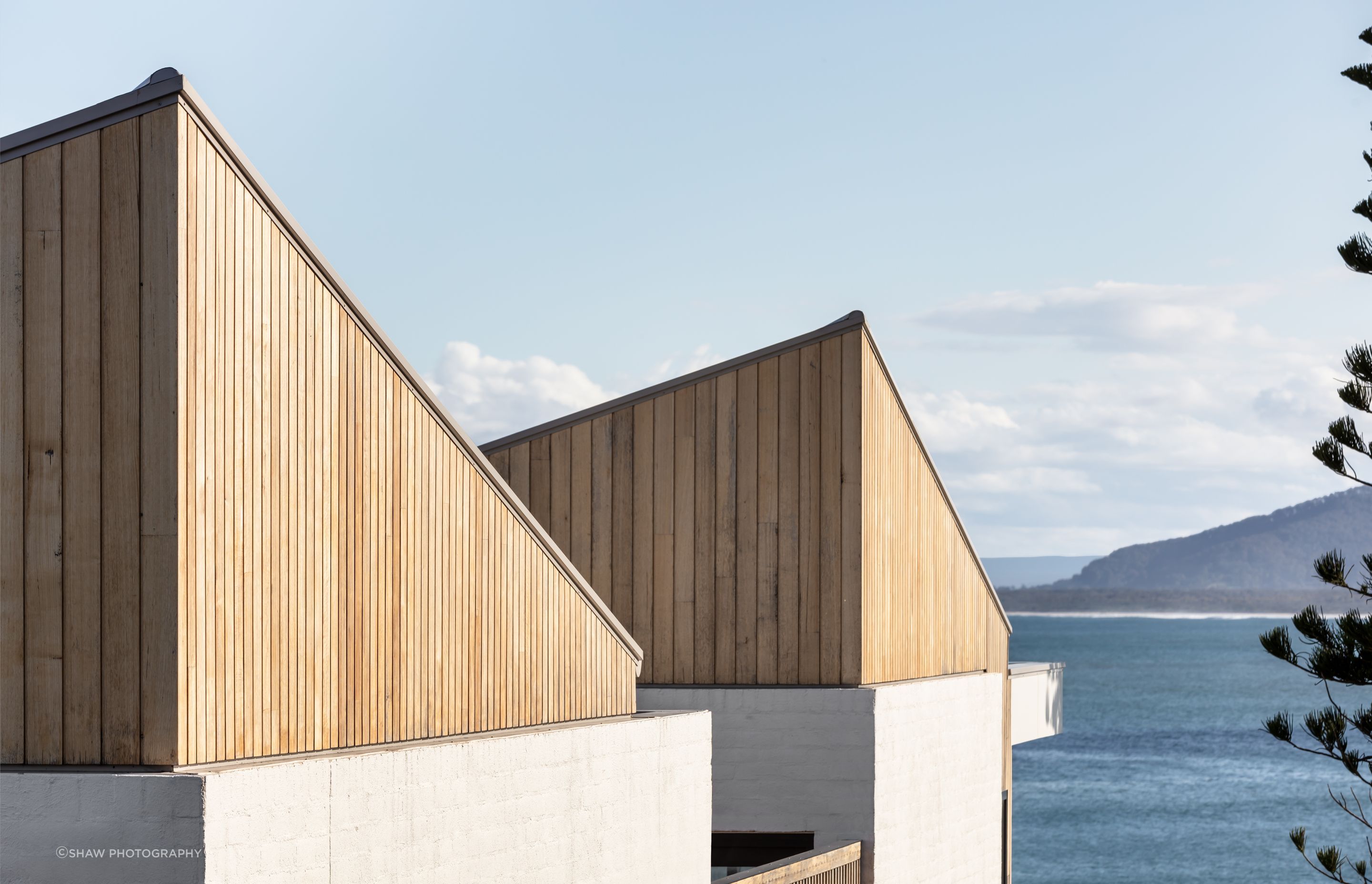 White & Timber House