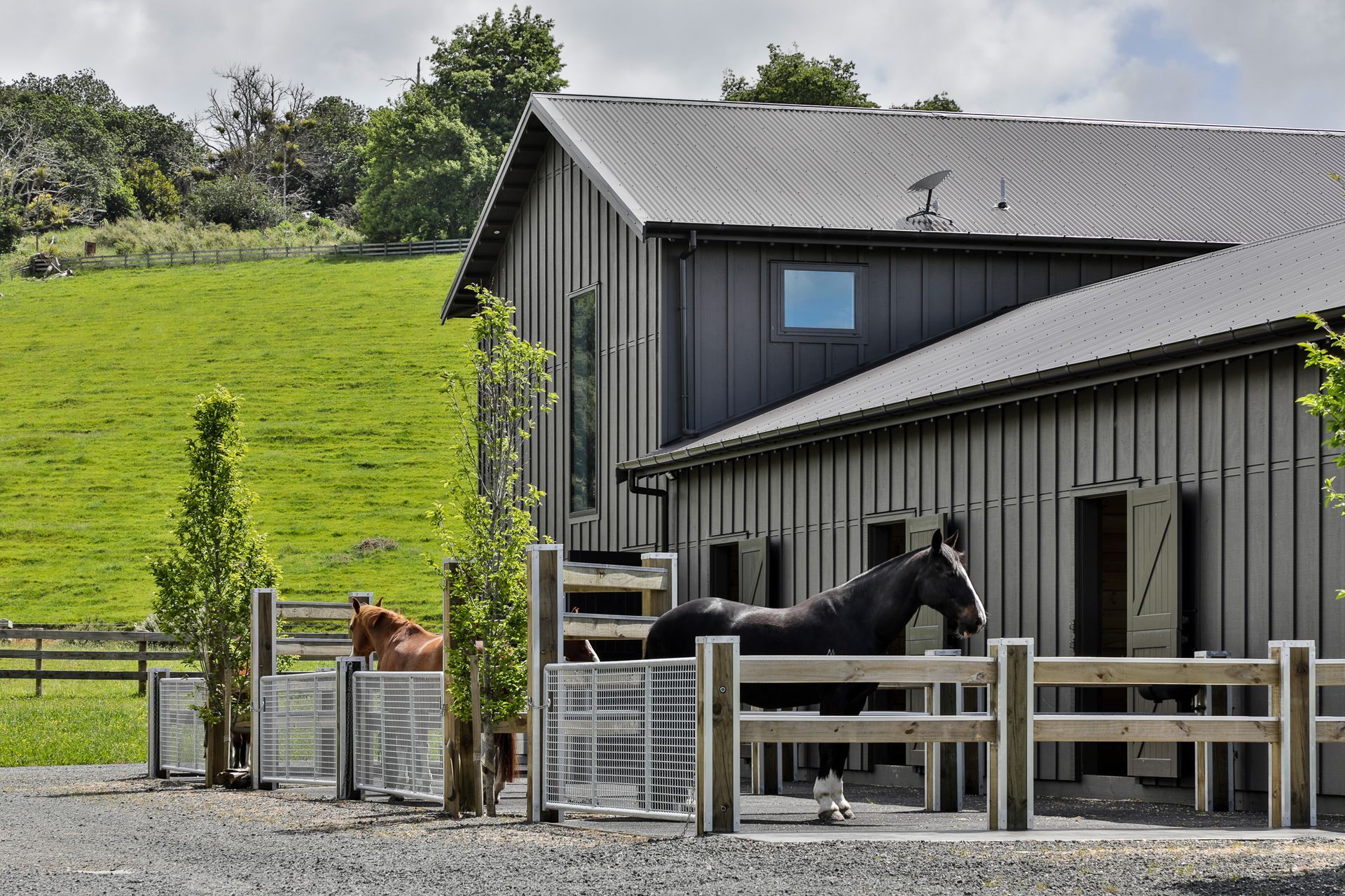 Boutique Equestrian Lifestyle Property