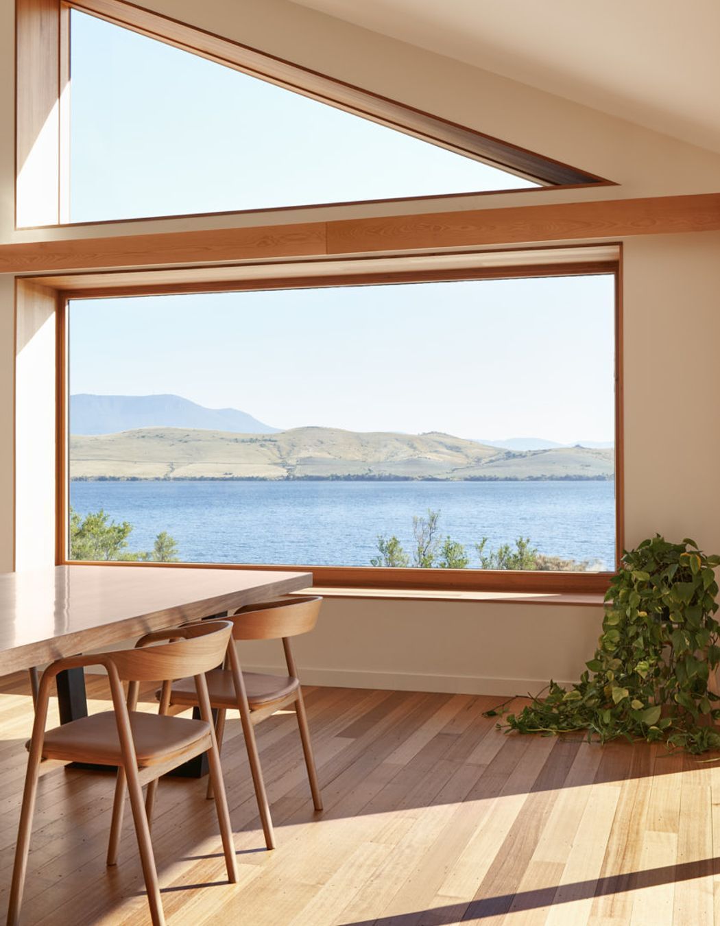 Thinking Paddock House