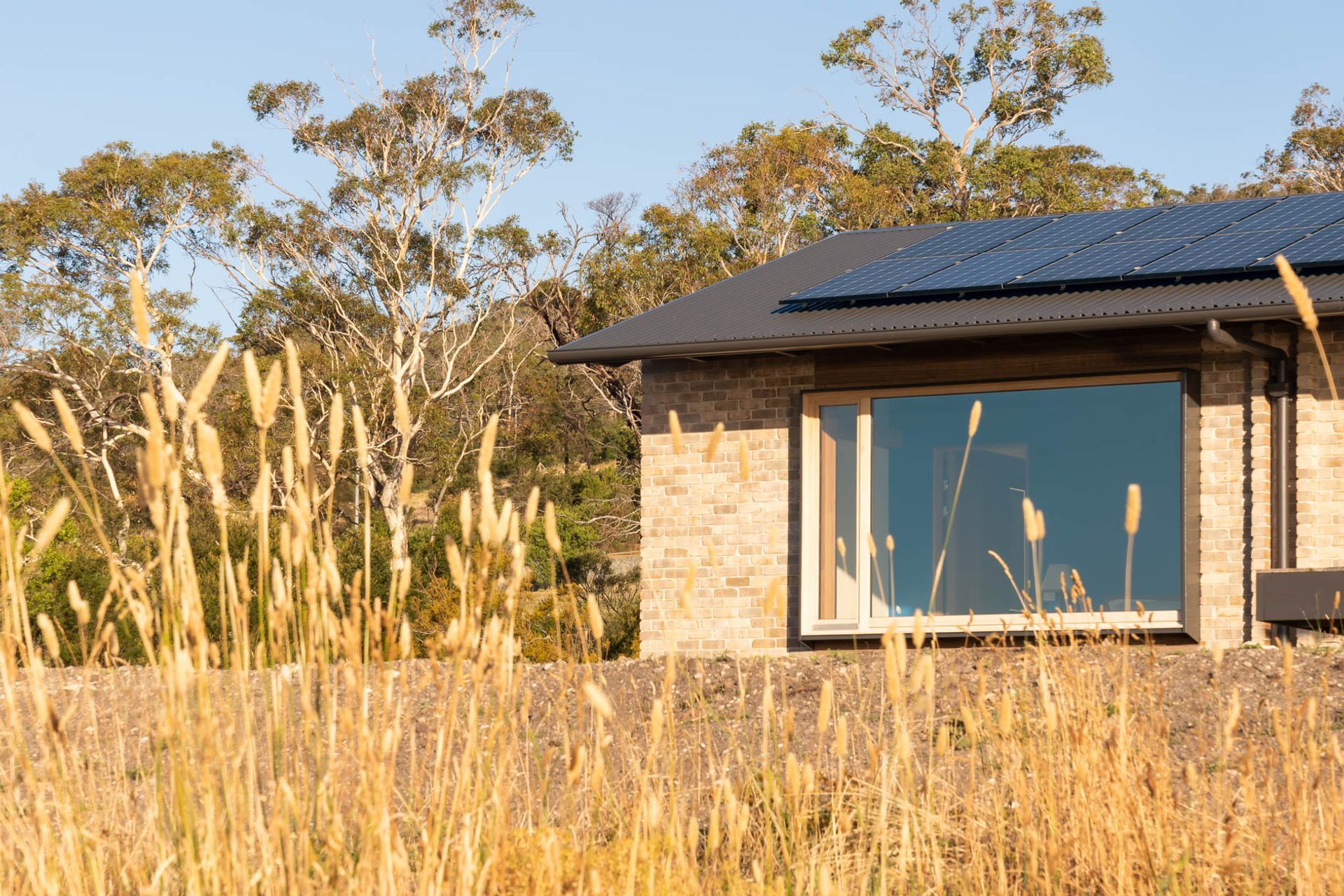 Thinking Paddock House
