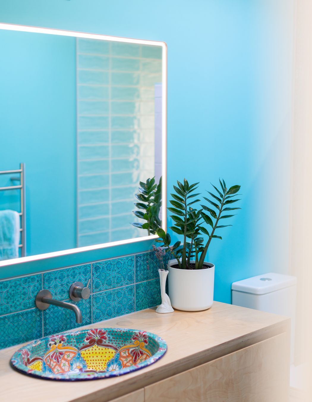 House with the Slide