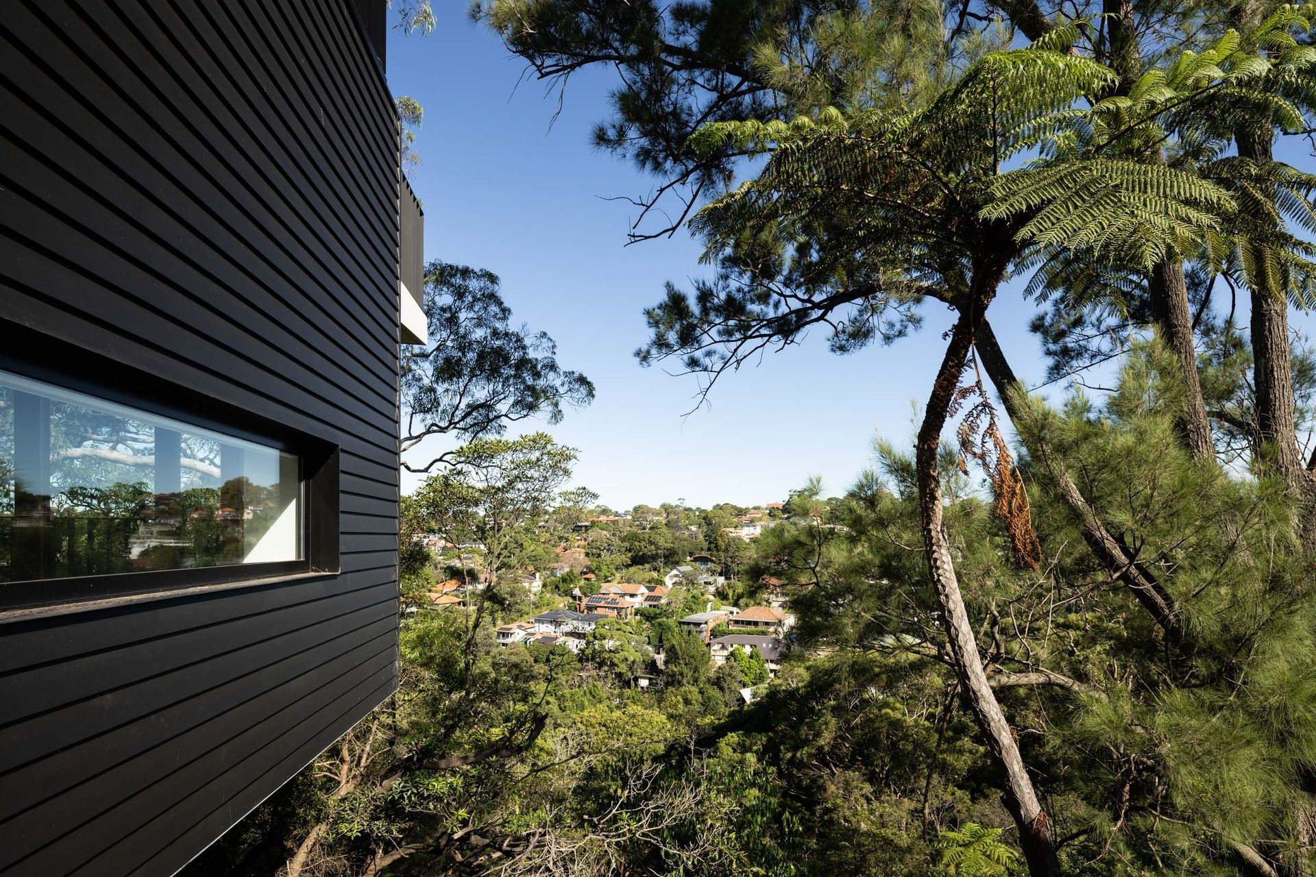 Castlecrag 01