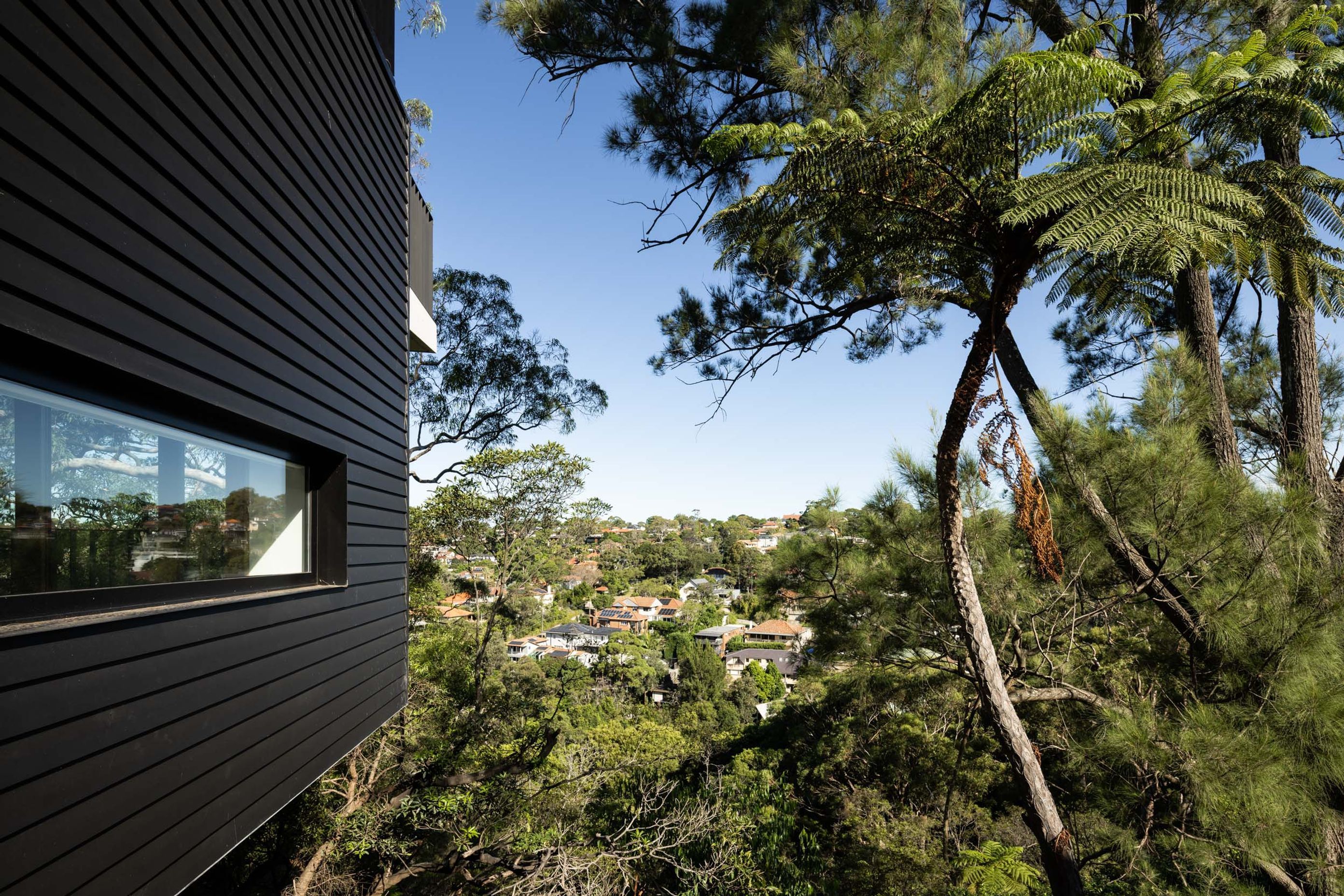 Castlecrag 01