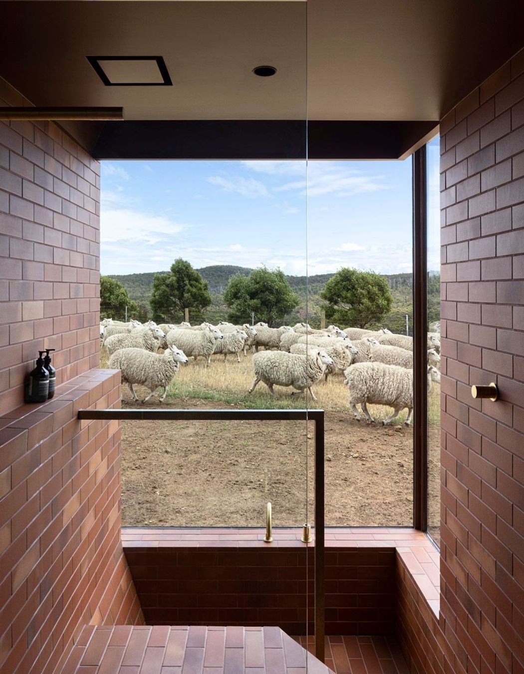 Photography: Dianna Snape