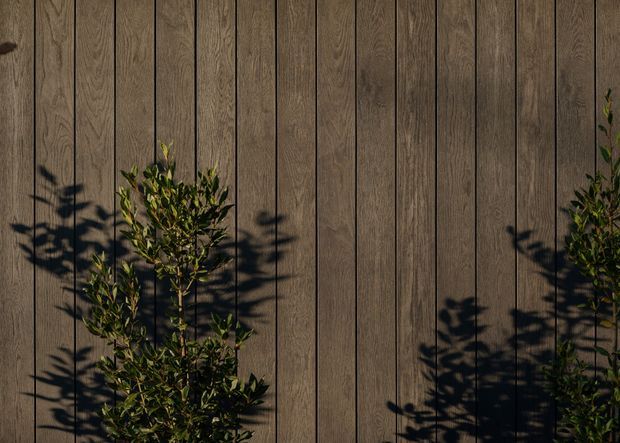 Close-up view of a dark brown vertically clad exterior wall with narrow, evenly spaced vertical boards and visible timber-like grain. Green shrubs in the foreground cast strong shadows across the facade, creating a warm, textural outdoor architectural detail.