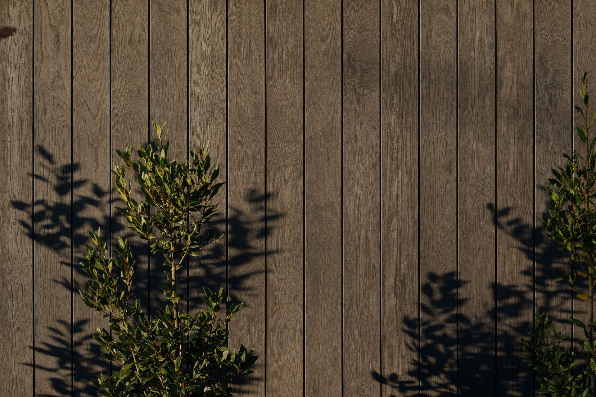forte-os-lingardhouse-2782-1-small-ap-compressed.jpg