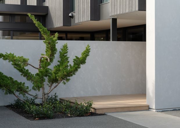 Contemporary residential exterior showing a sheltered entry or terrace behind a smooth pale grey privacy wall. The building features dark-framed glazing, vertical timber-look cladding, projecting upper volumes, and a timber deck with integrated steps. A sculptural evergreen planting bed softens the minimalist hardscape.