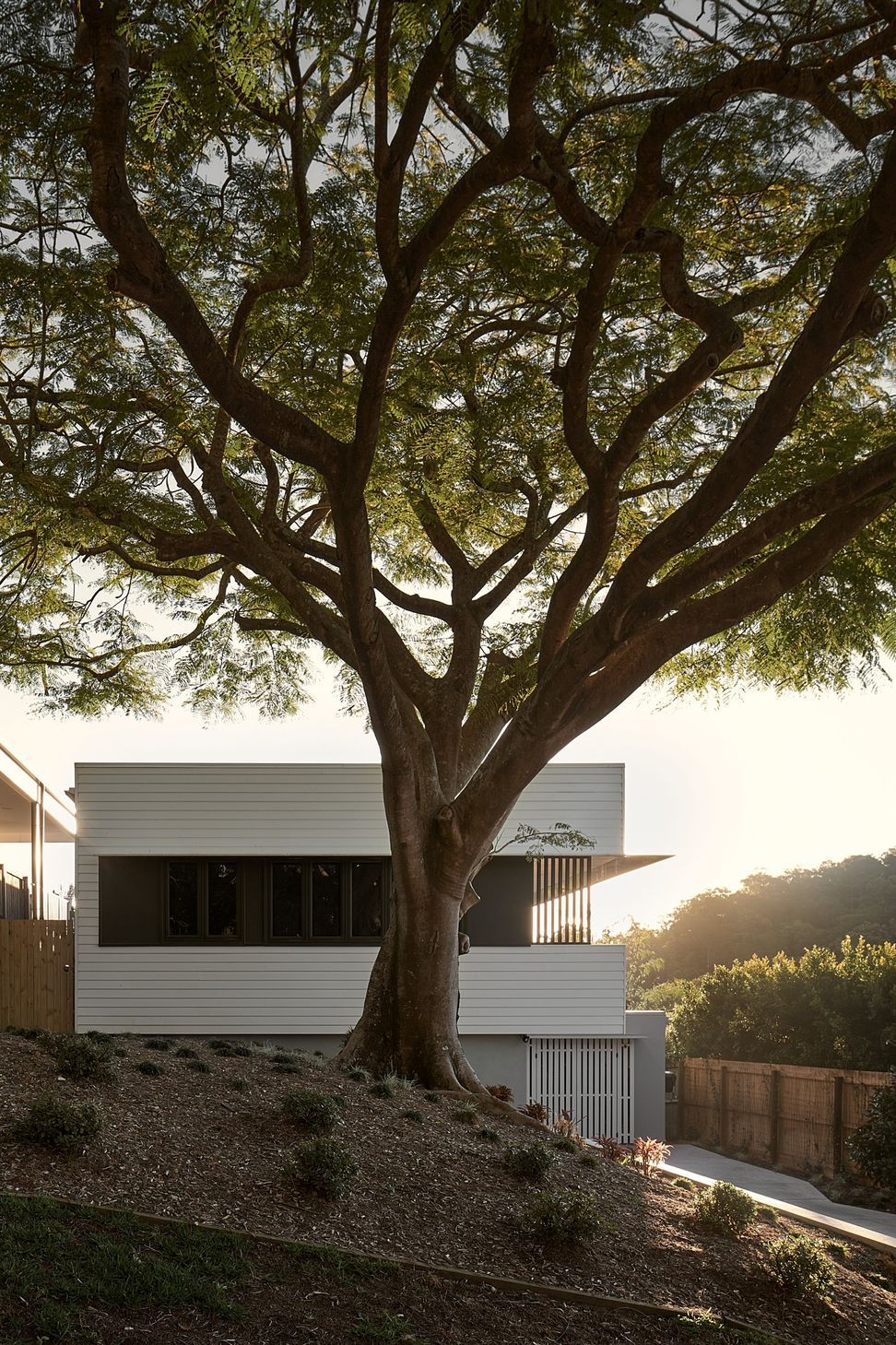 happyhaus-gallery-2023-07-28-photo-welbeck-1001000.jpg
