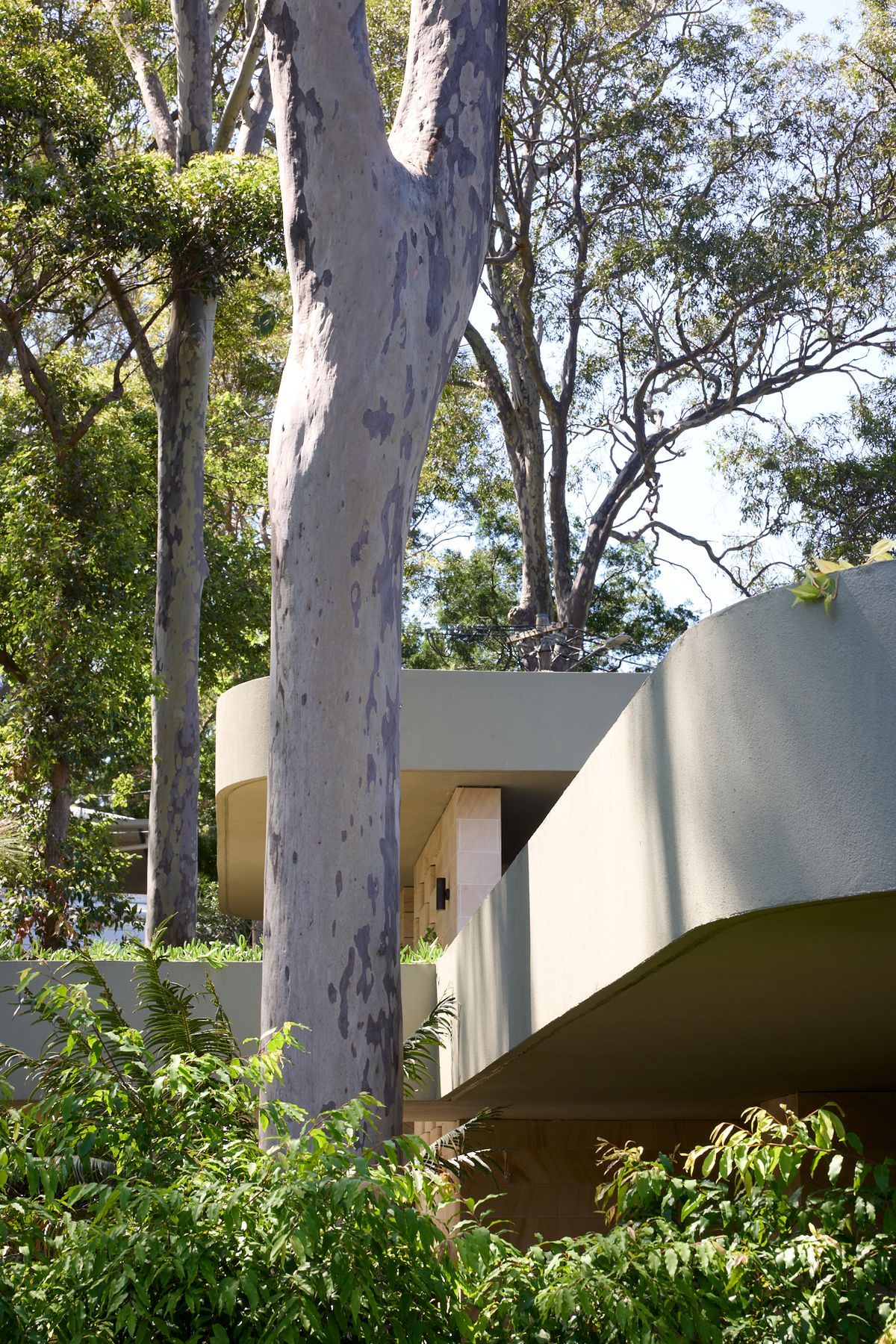 pvTLP-x-Neolith-Jamie-Durie-0006-v3.jpg