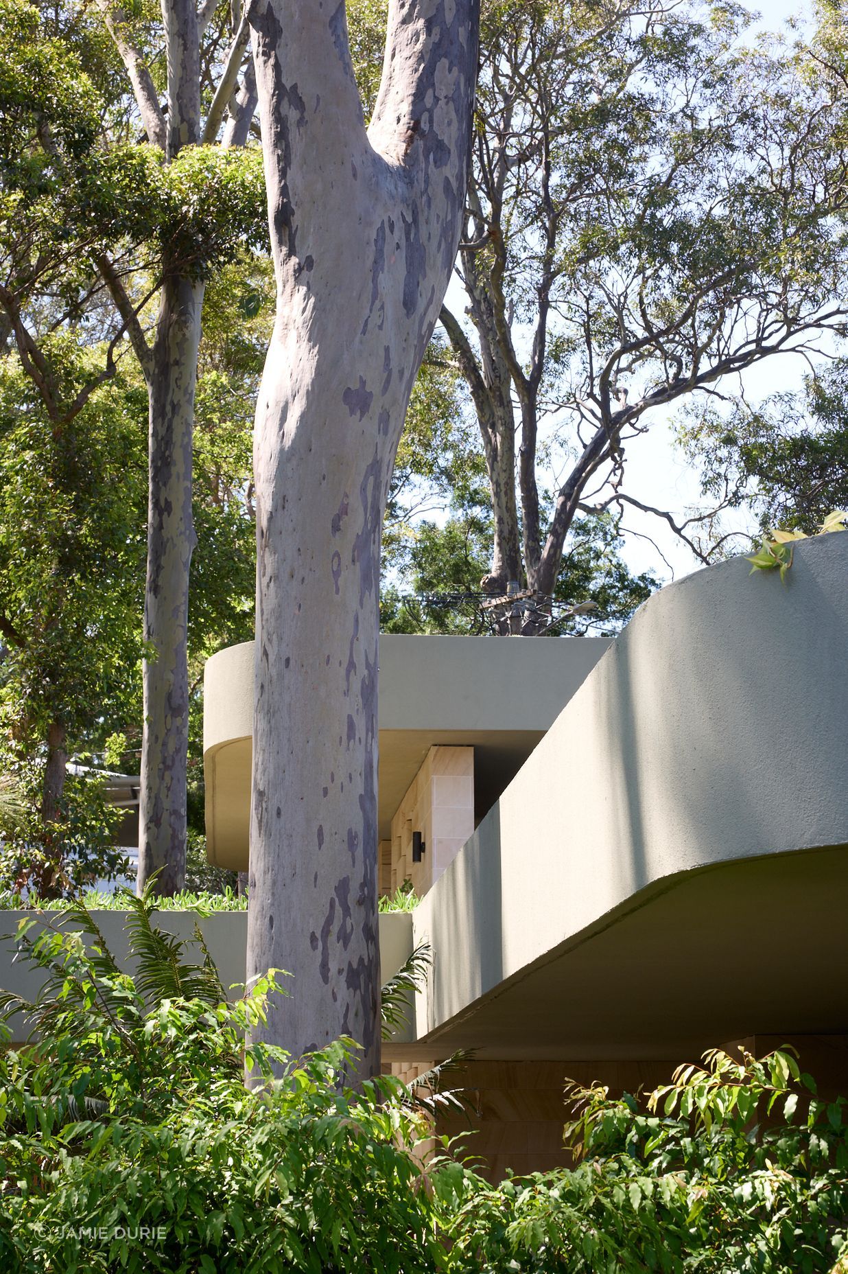 pvTLP-x-Neolith-Jamie-Durie-0006-v3.jpg