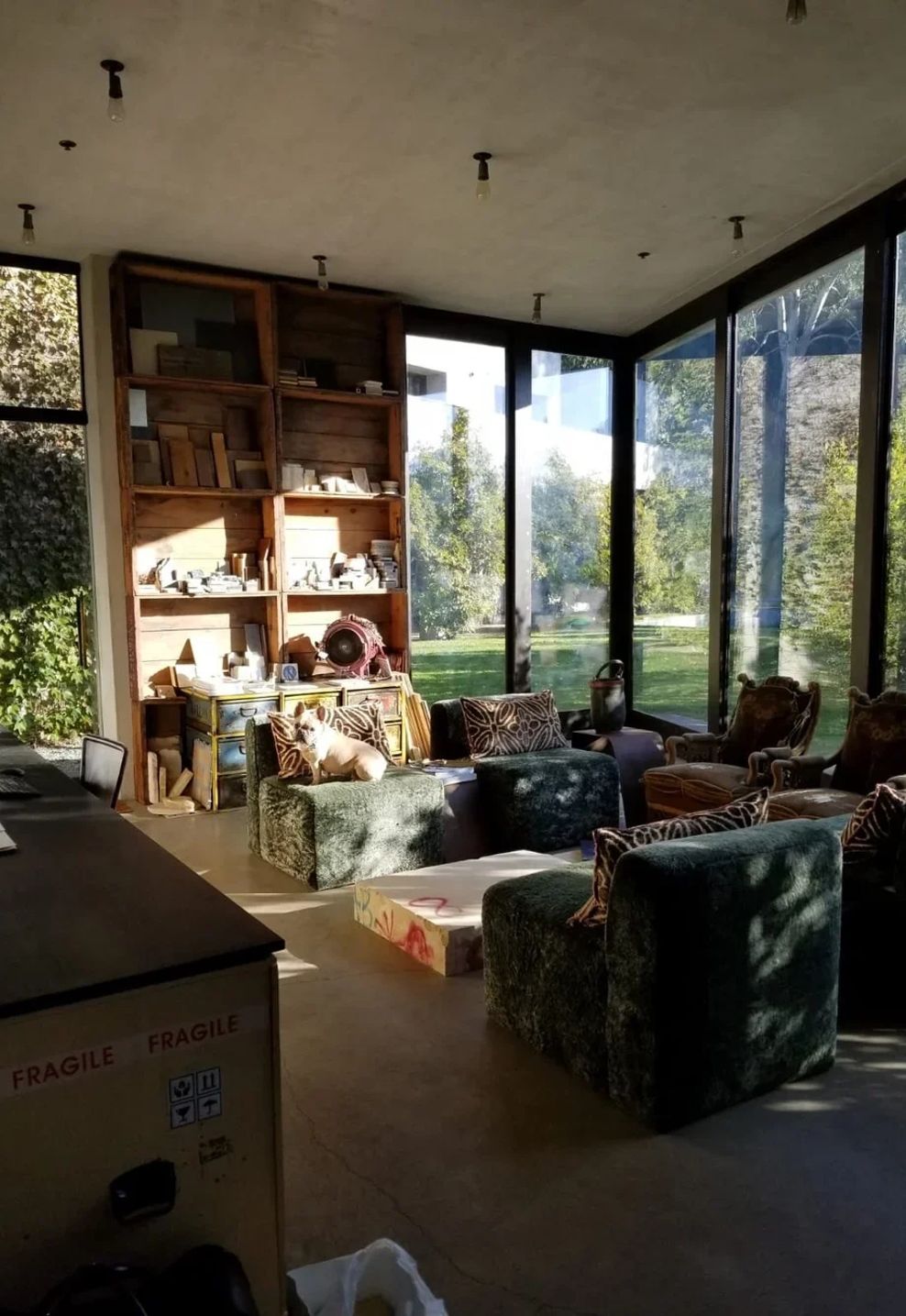 sunlit-creative-studio-interior-designwebp-ap-compressed-v2.jpg
