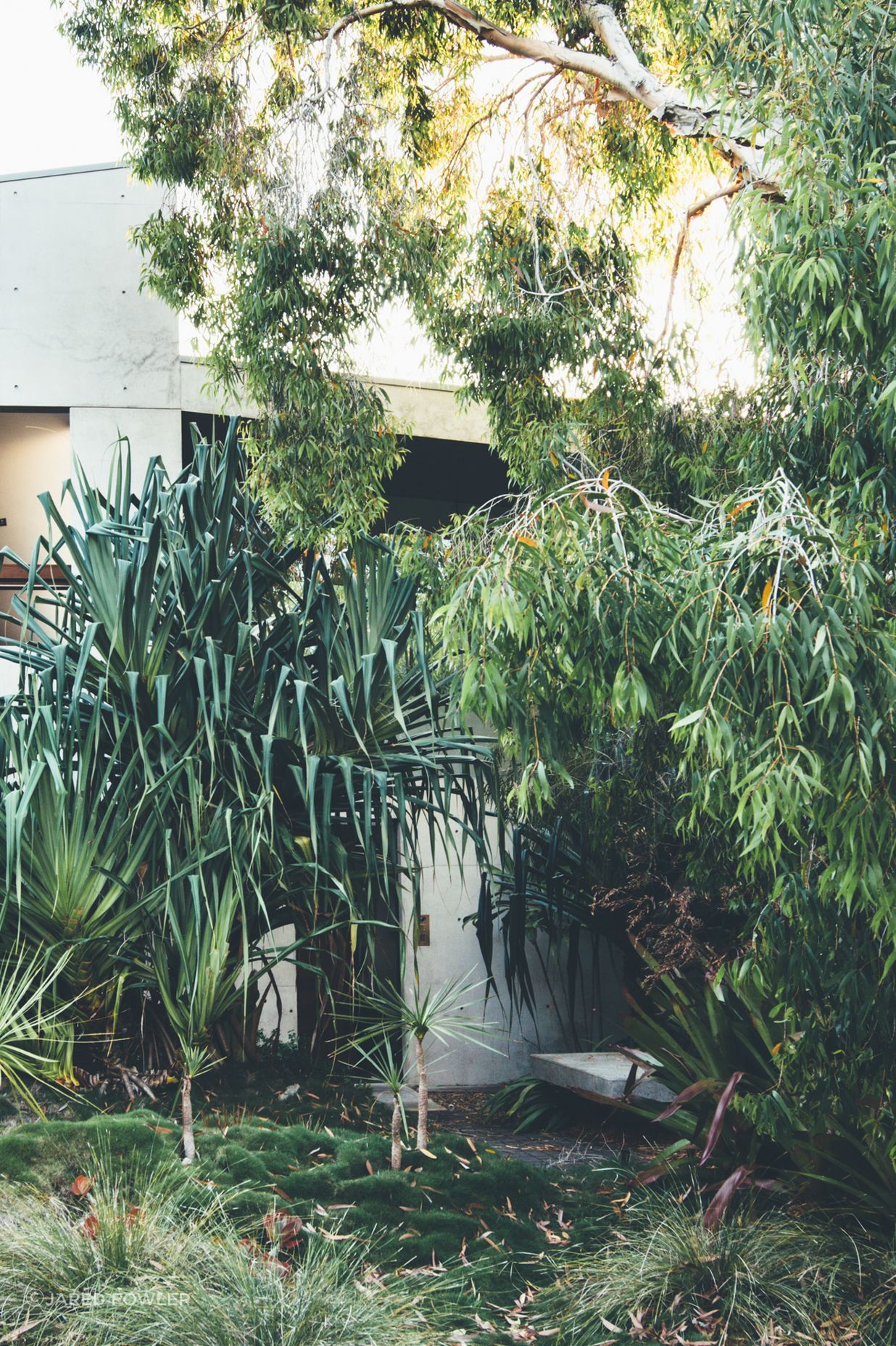 Little Cove Beach House