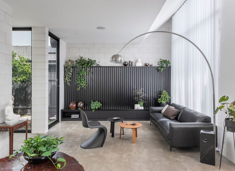 The Cycad House