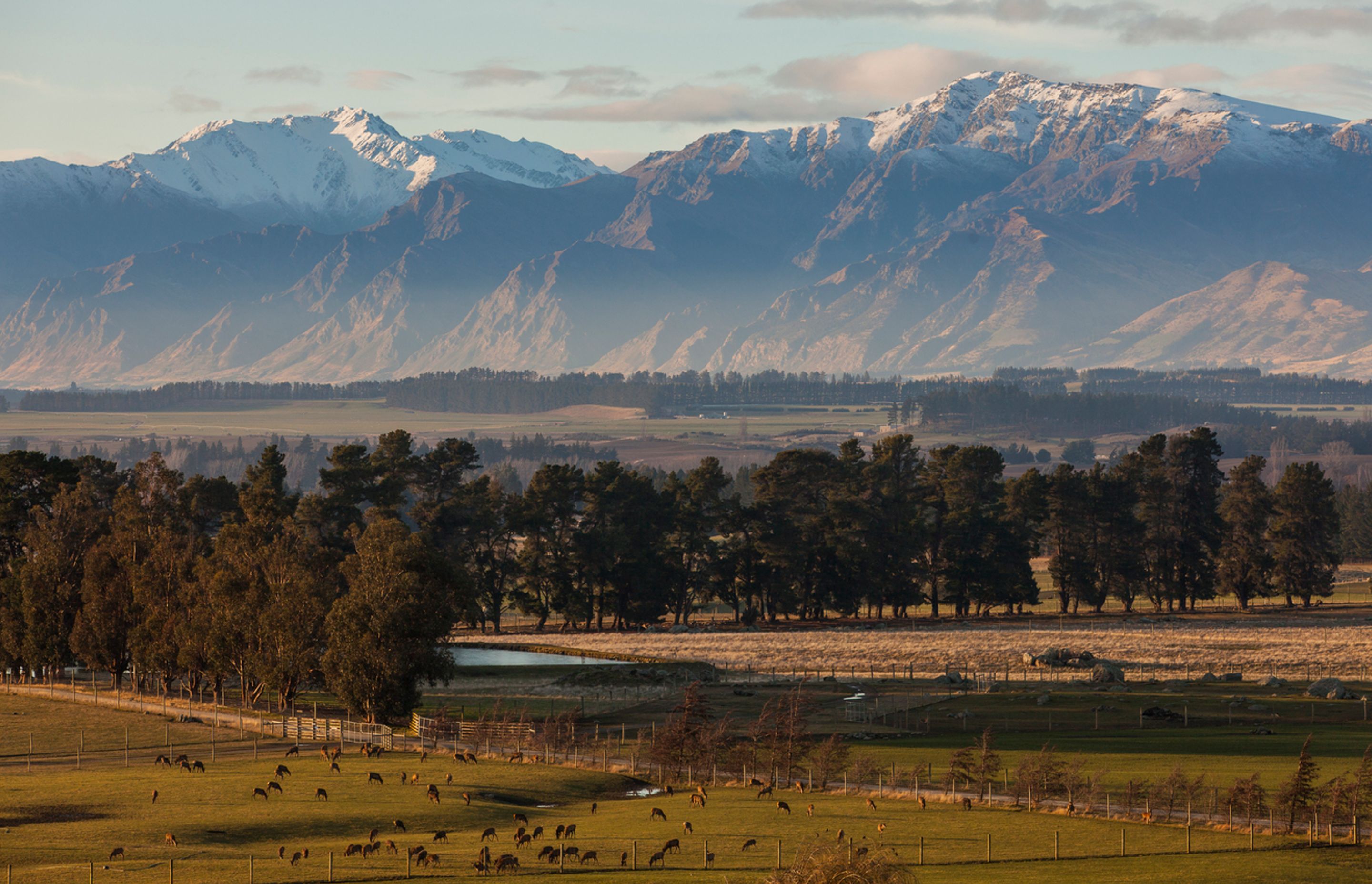 Criffel Station, Wanaka