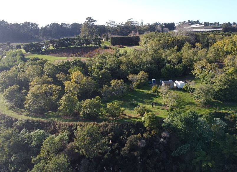 Gill Lane | Te Puna
