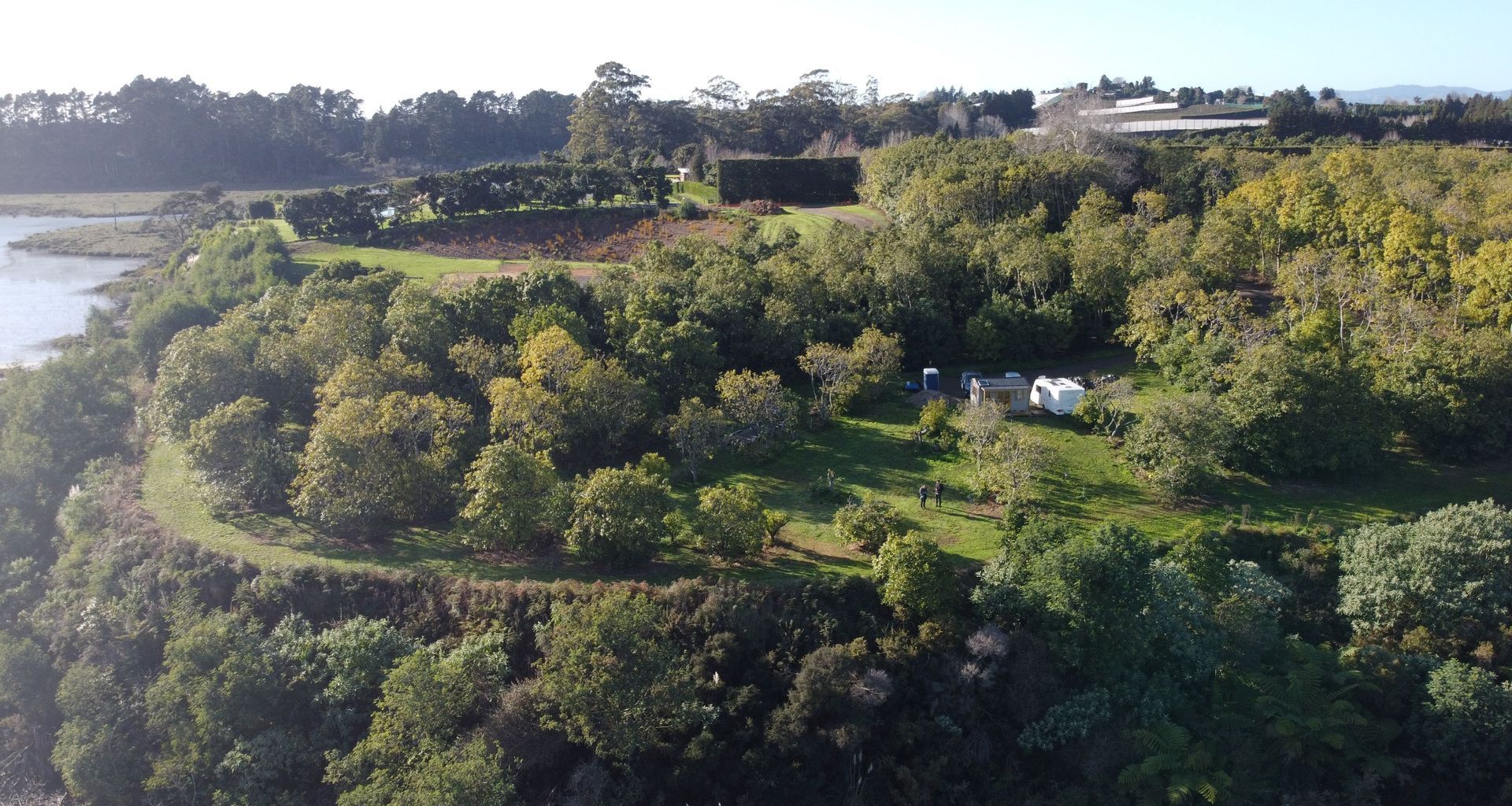 Gill Lane | Te Puna banner