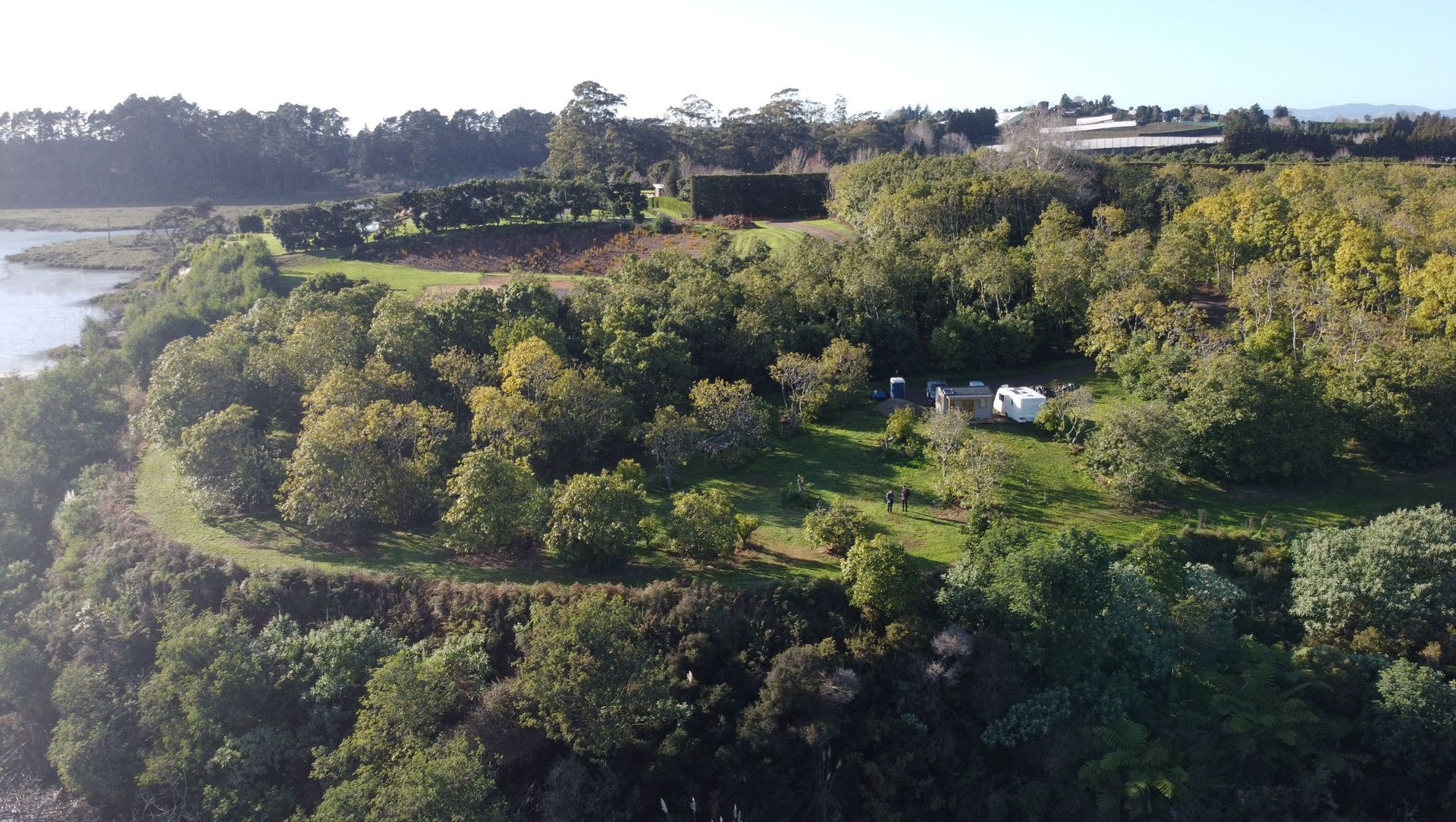 Gill Lane | Te Puna banner