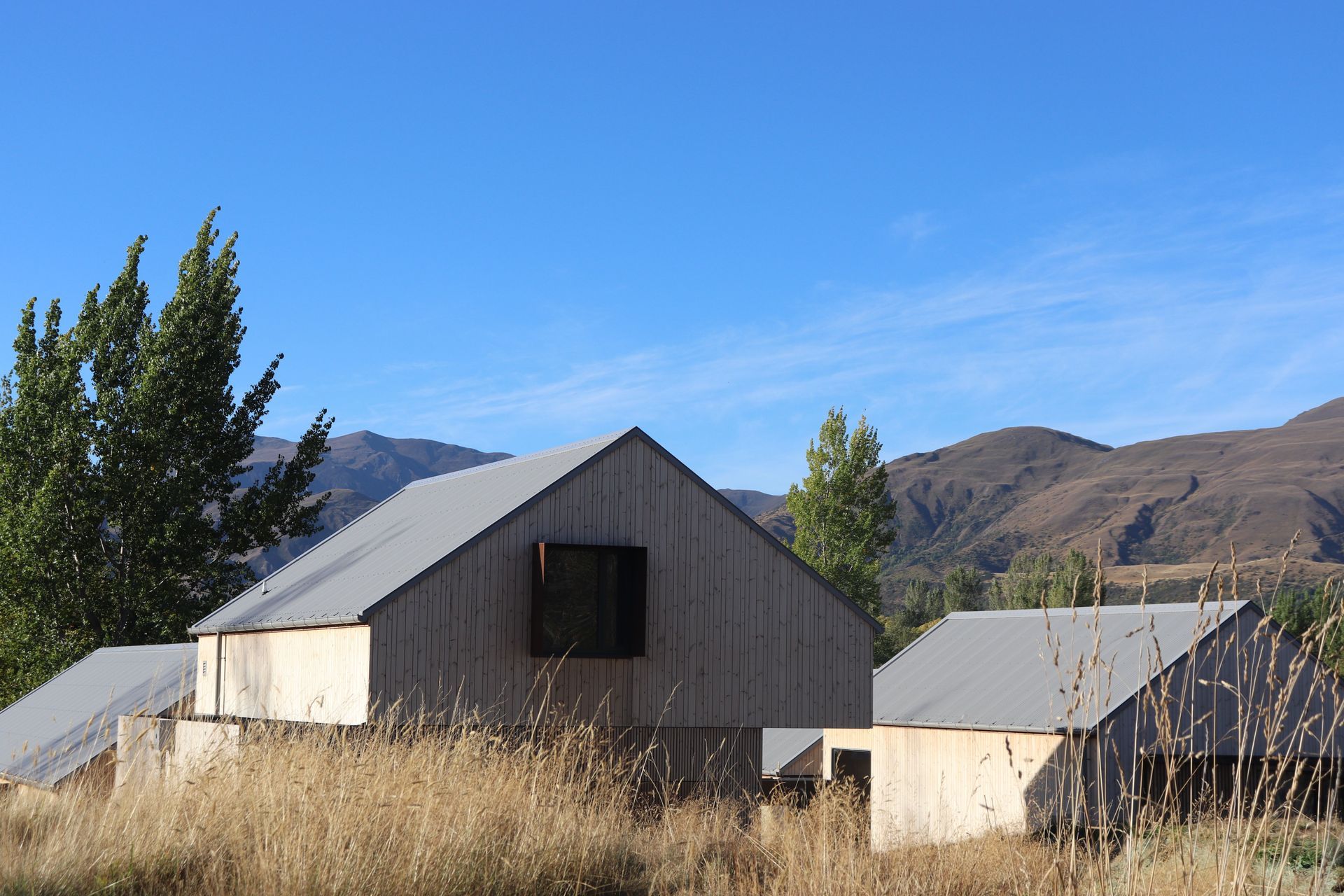 IMG7387-v3.JPG