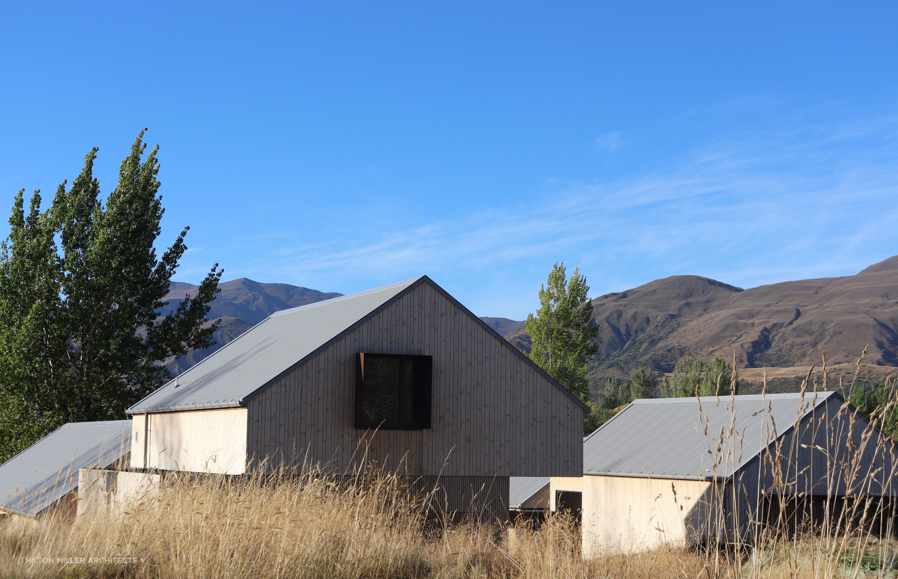 IMG7387-v3.JPG