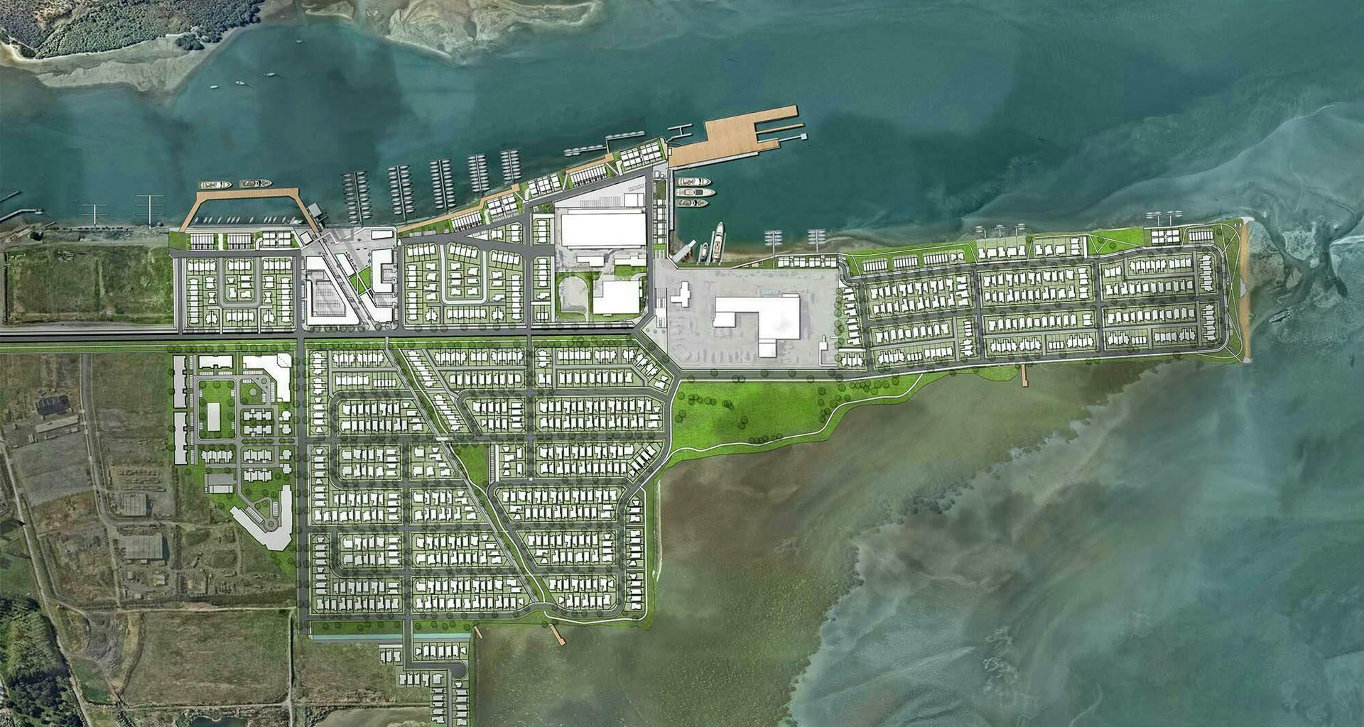 Port Nikau Masterplan banner