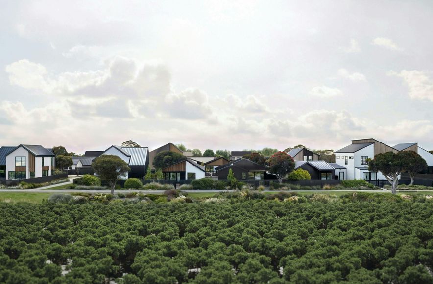 Port Nikau Masterplan
