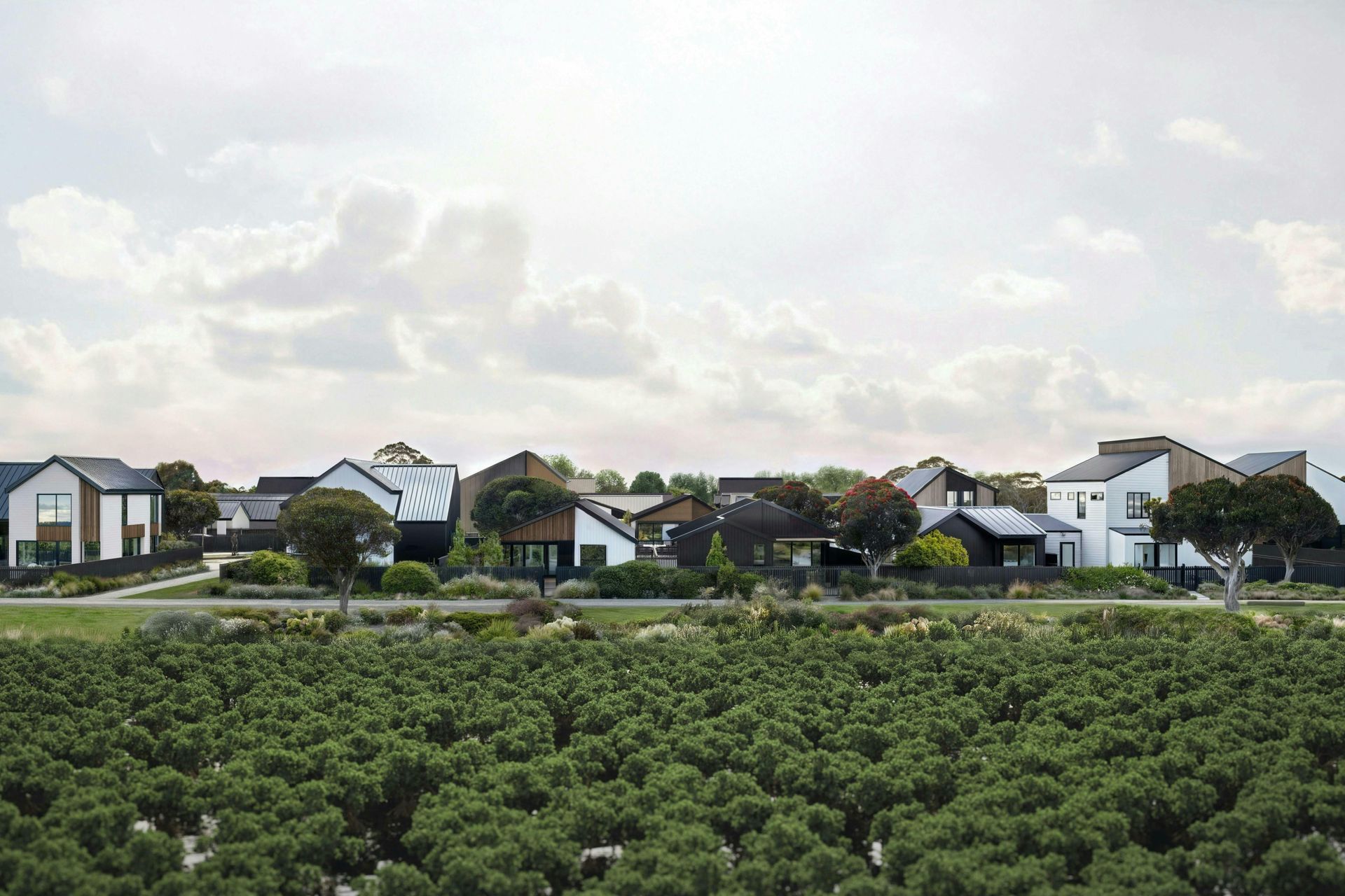 Port-Nikau-MasterplanMasterplanConstrukt-ArchitectsAucklandVegetation.jpg