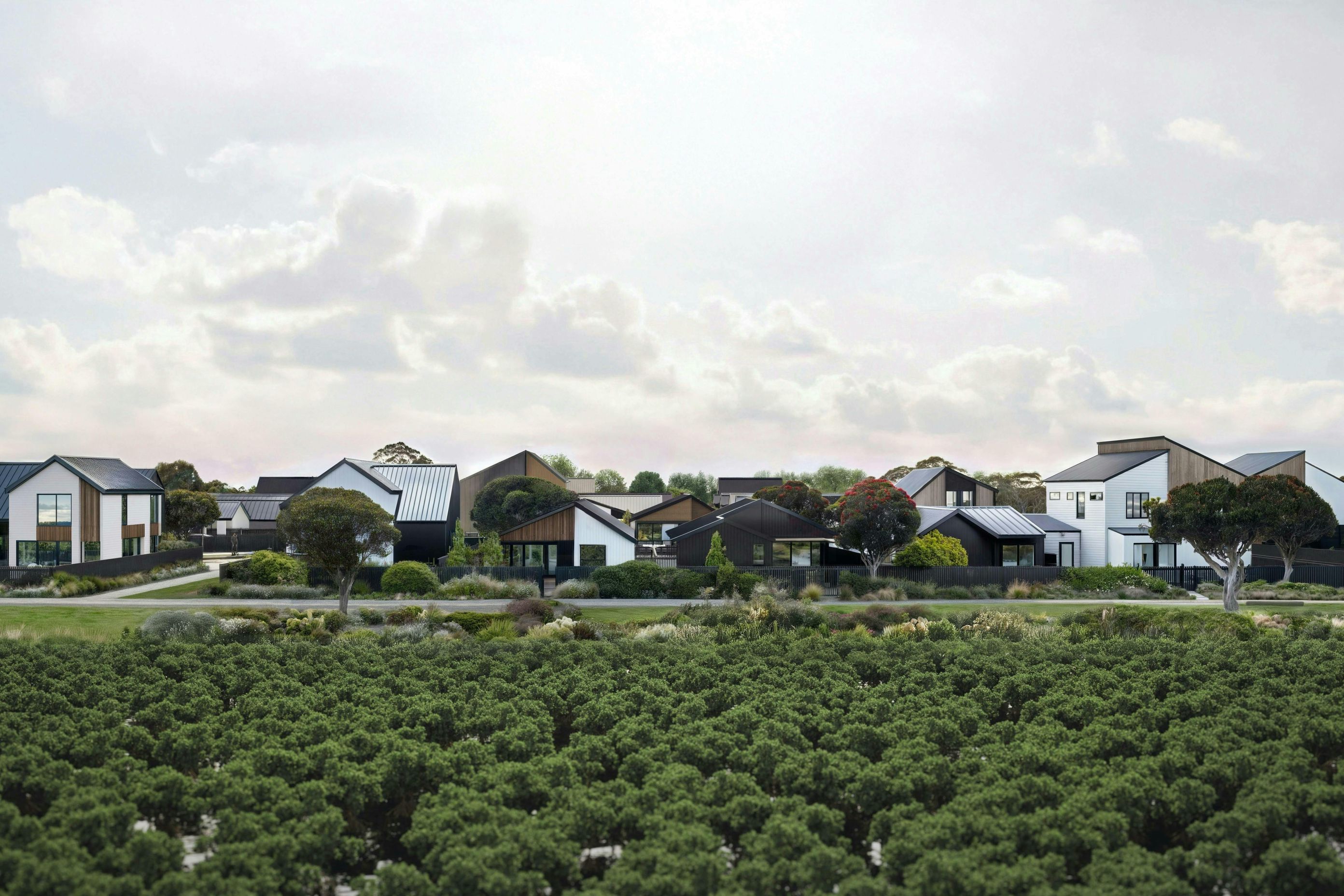 Port-Nikau-MasterplanMasterplanConstrukt-ArchitectsAucklandVegetation.jpg