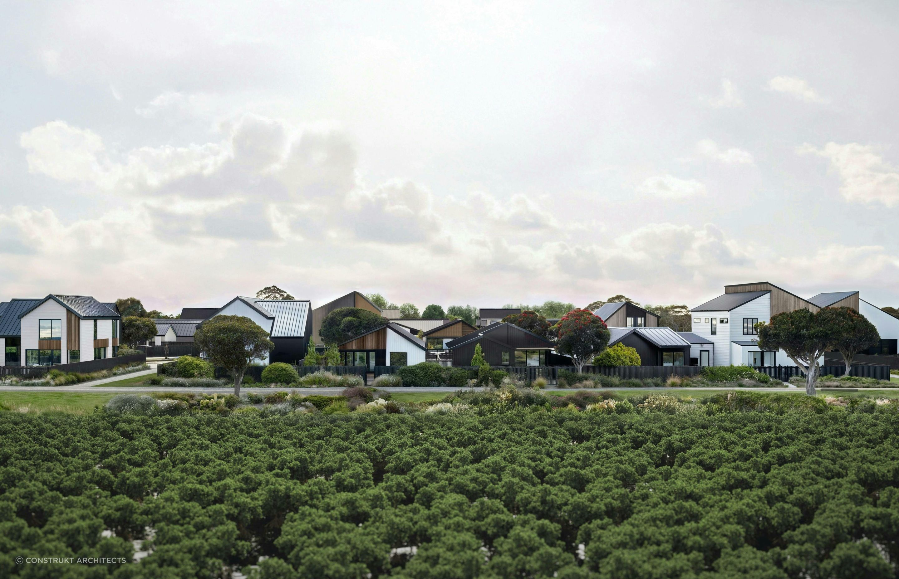 Port-Nikau-MasterplanMasterplanConstrukt-ArchitectsAucklandVegetation.jpg