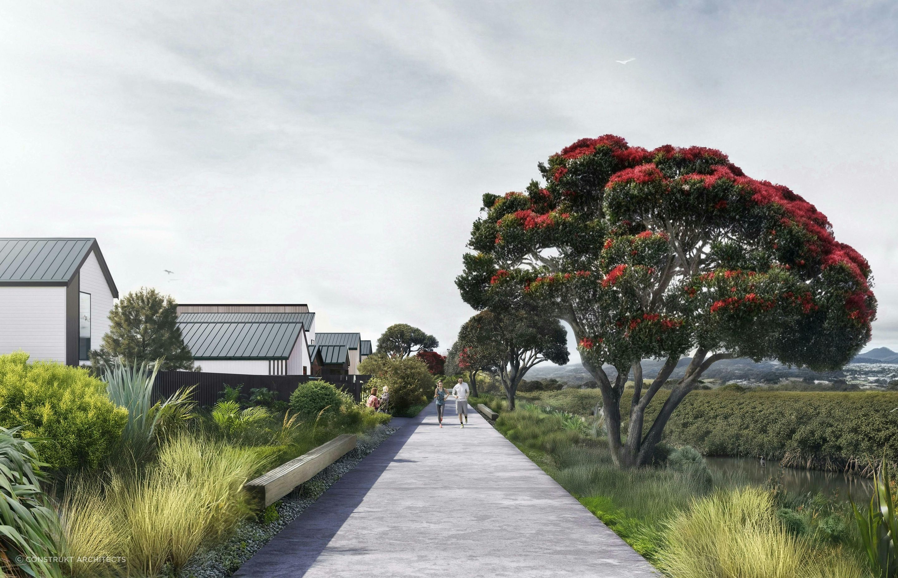 Port-Nikau-MasterplanMasterplanConstrukt-ArchitectsAucklandWalkway.jpg
