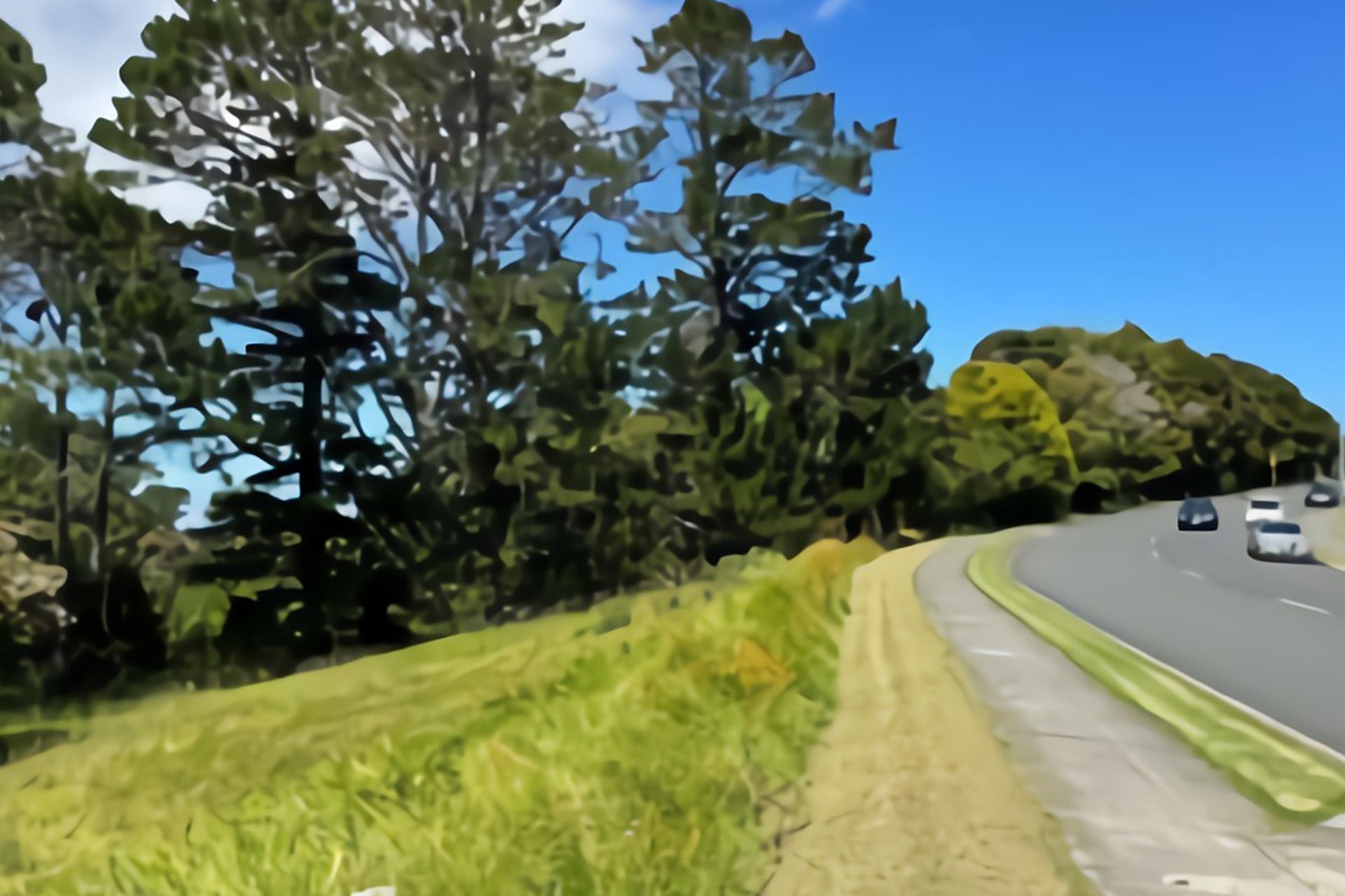 Schnapper Rock Plan Change