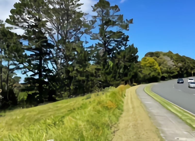 Schnapper Rock Plan Change