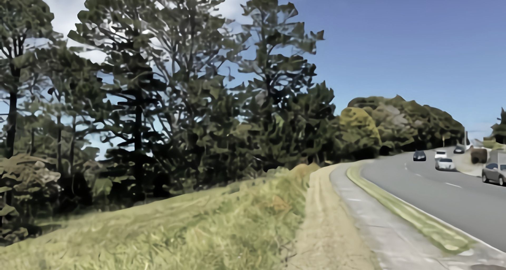 Schnapper Rock Plan Change banner