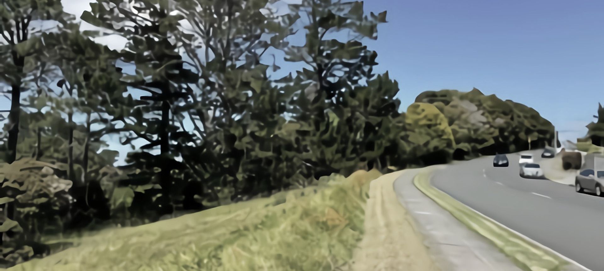 Schnapper Rock Plan Change banner