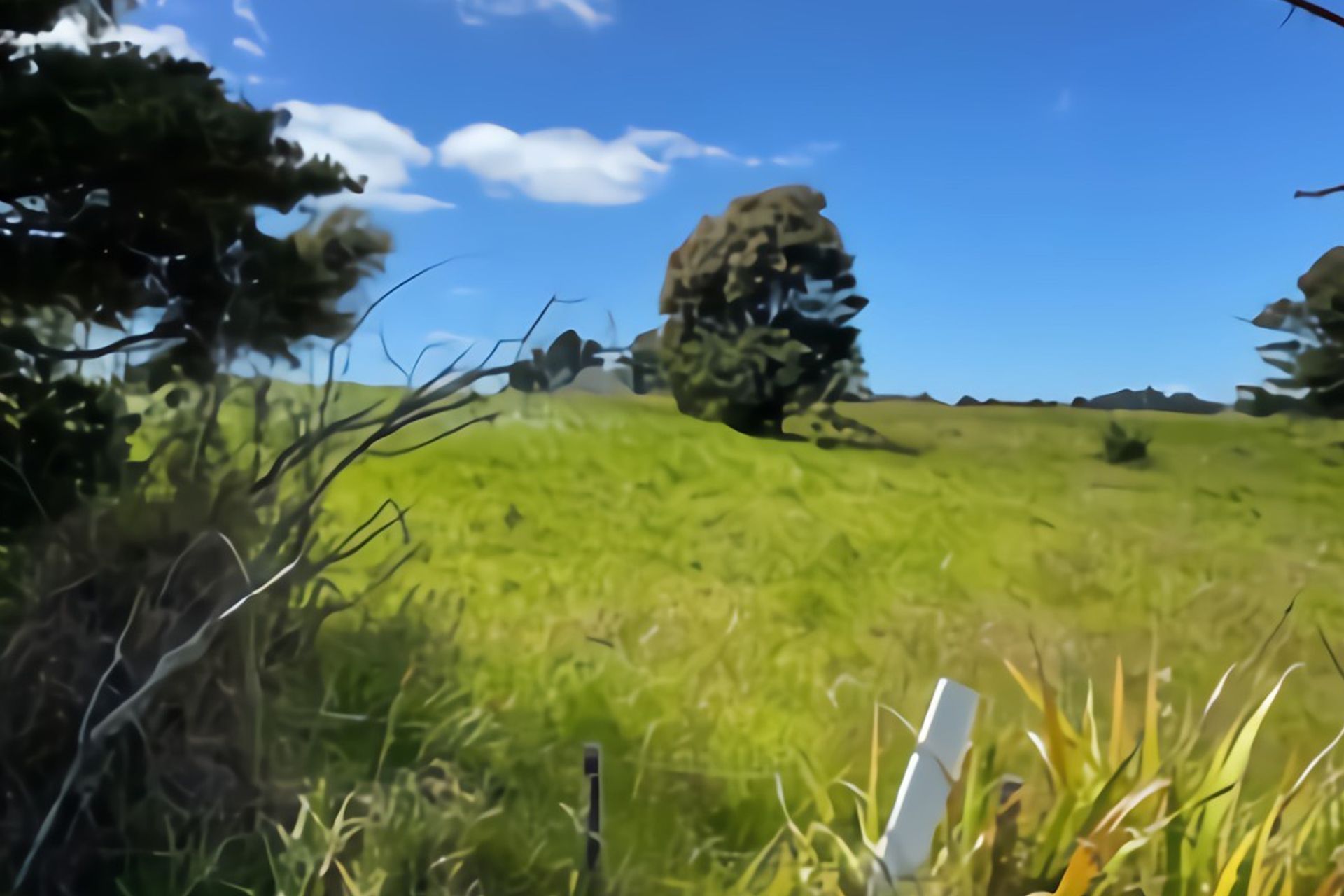 Schnapper Rock Plan Change