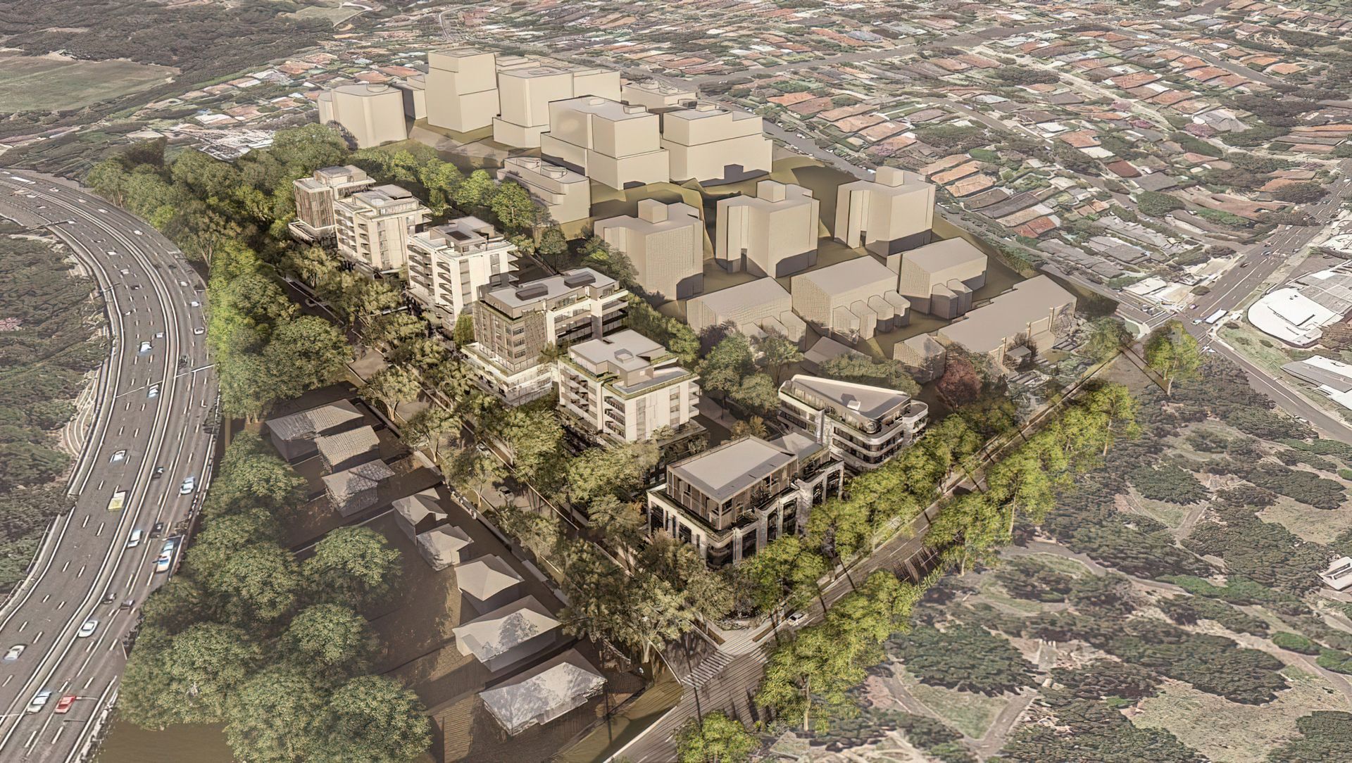 Walter Street Willoughby banner