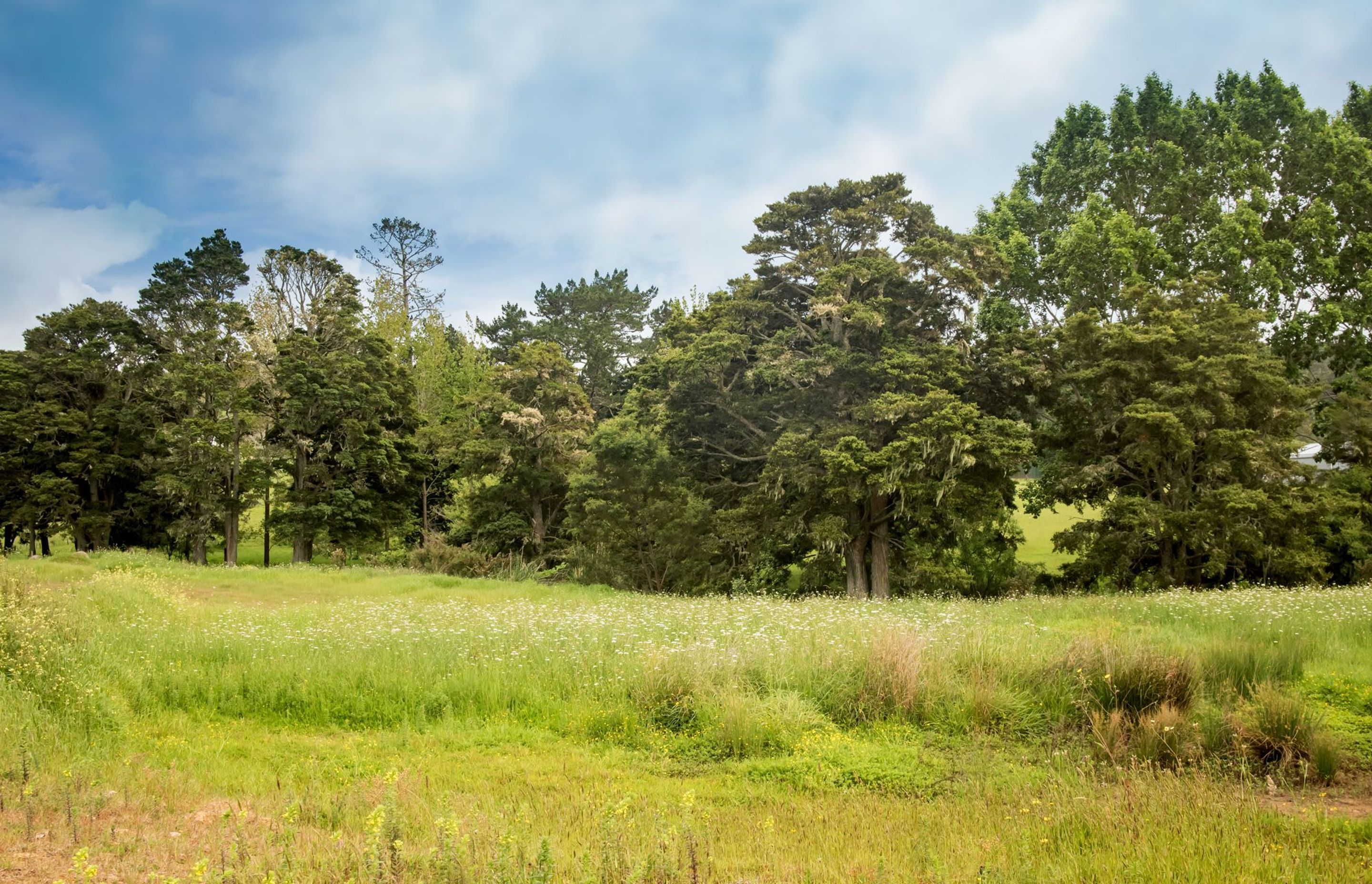 Bush Haven Drive, Kamo, Whangarei