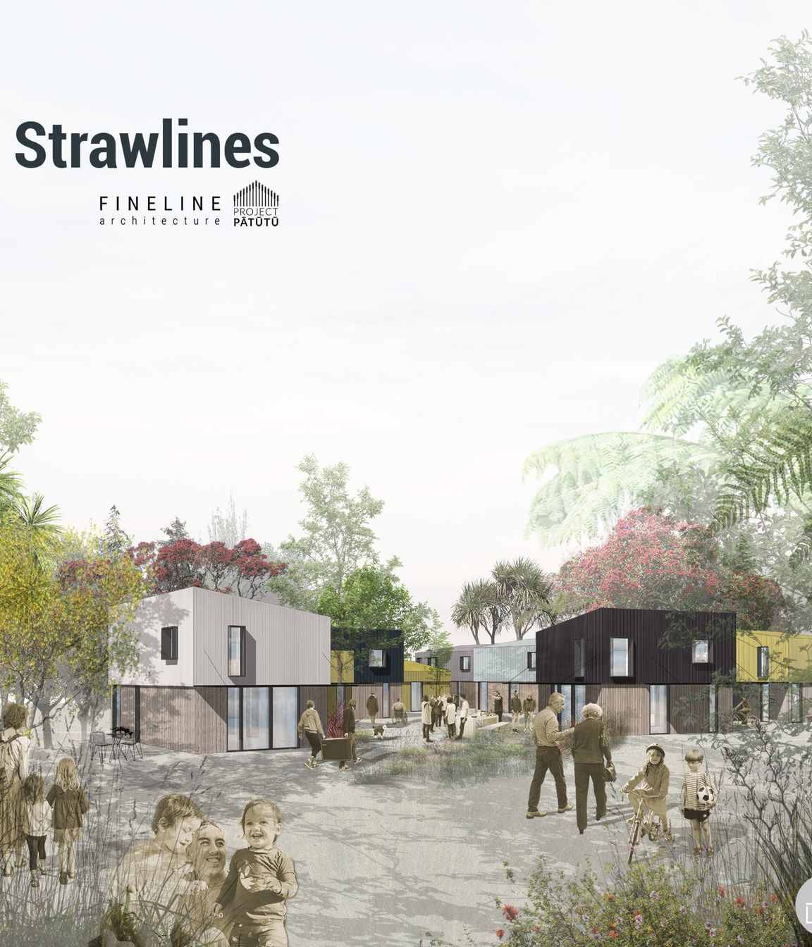 strawlines-v3.jpg