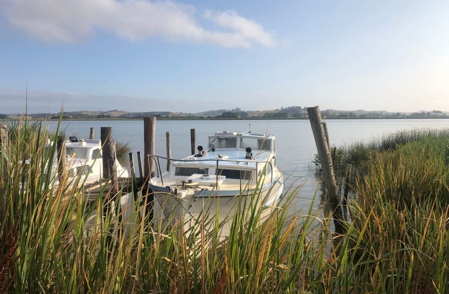 Kaipara Harbour Wharves Feasibility Study