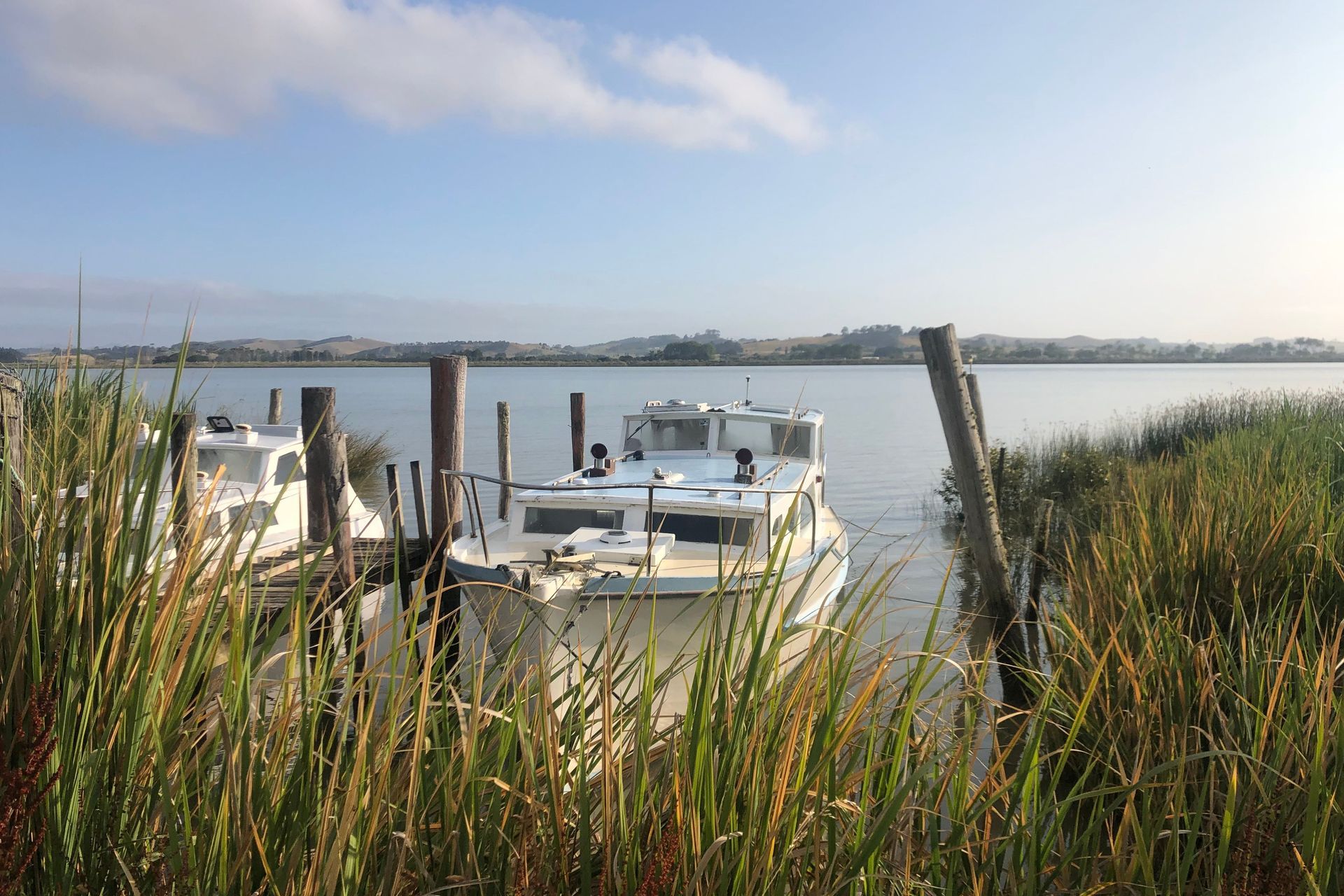Kaipara Harbour Wharves Feasibility Study