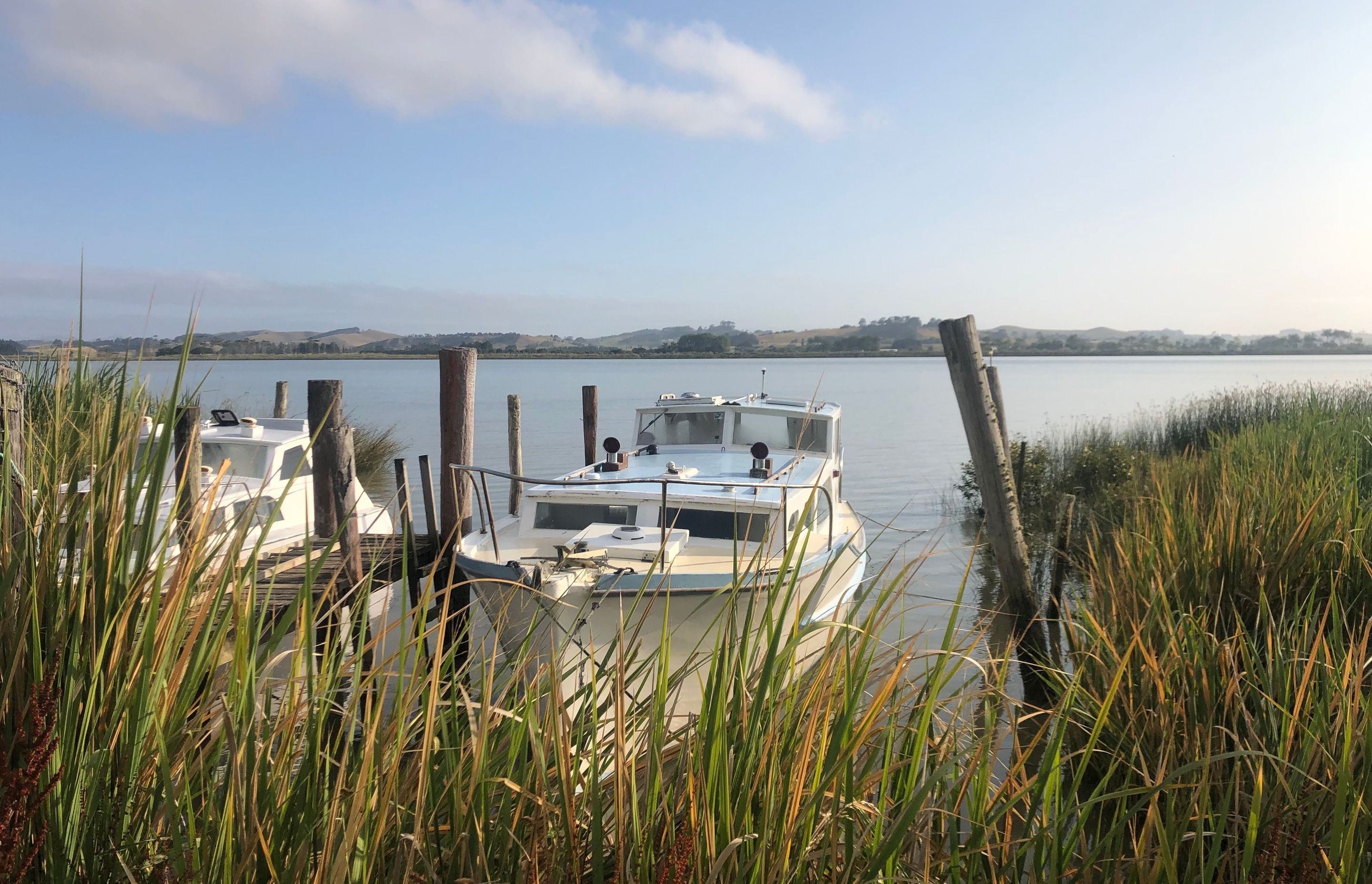 Kaipara Harbour Wharves Feasibility Study