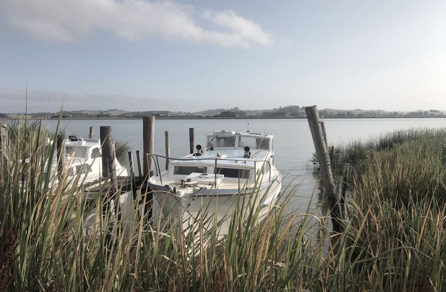 Kaipara Harbour Wharves Feasibility Study