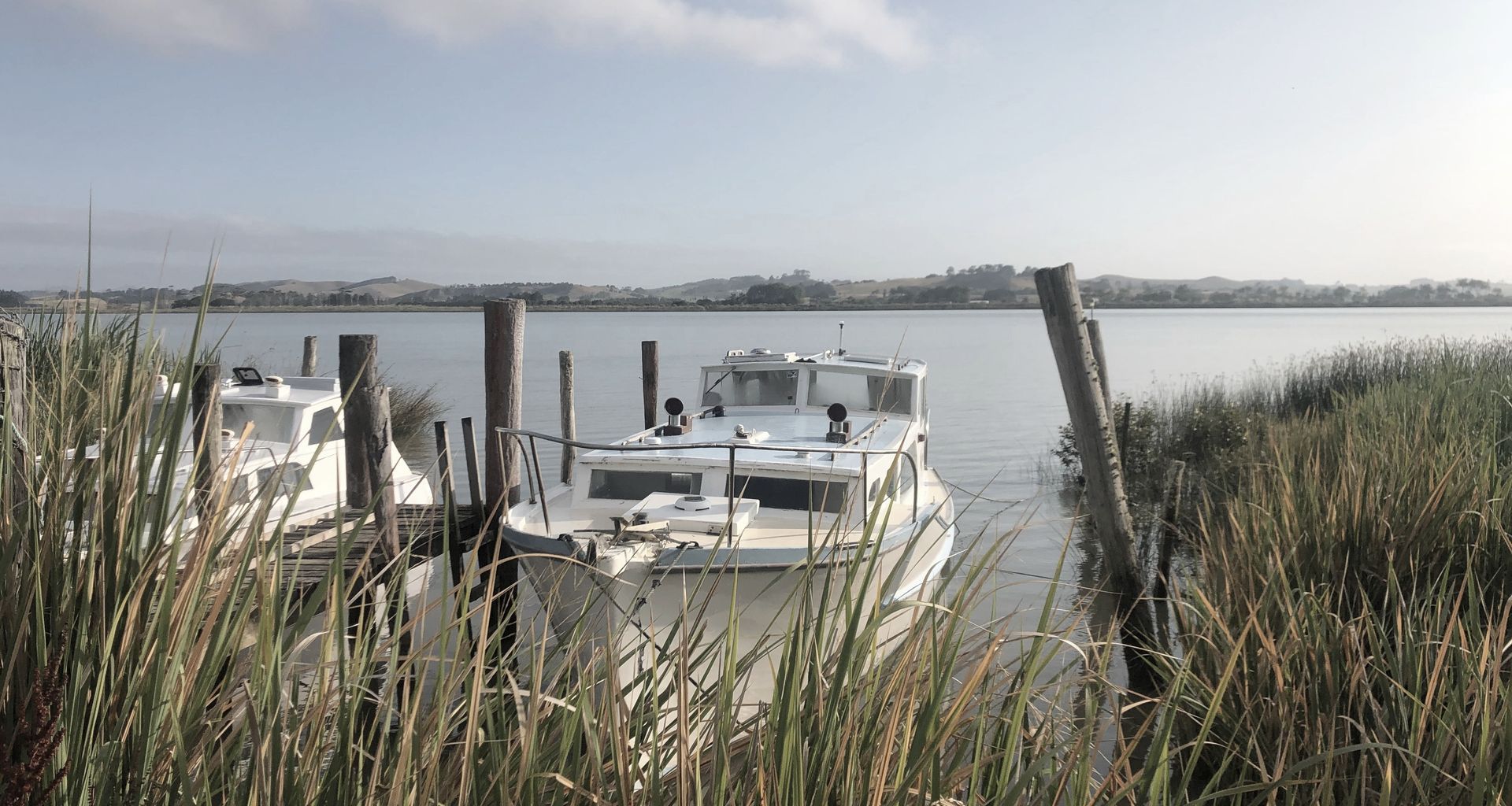 Kaipara Harbour Wharves Feasibility Study banner