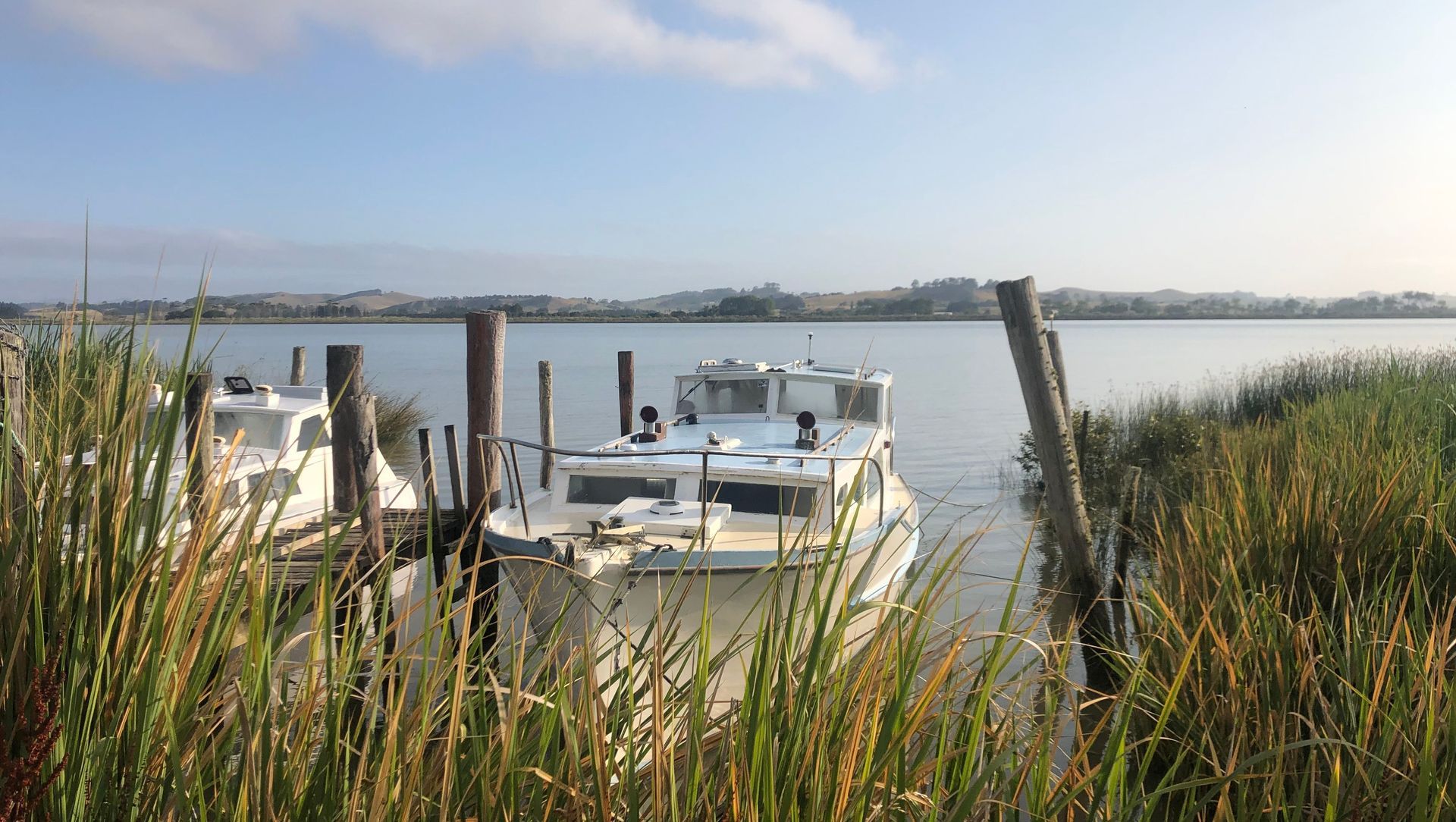 Kaipara Harbour Wharves Feasibility Study banner