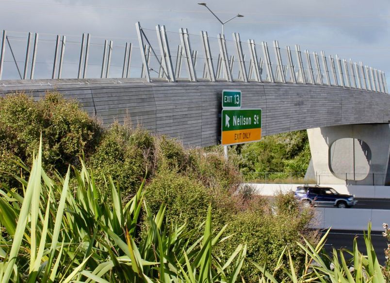Taumanu Reserve Bridge - anti-throw mesh screens