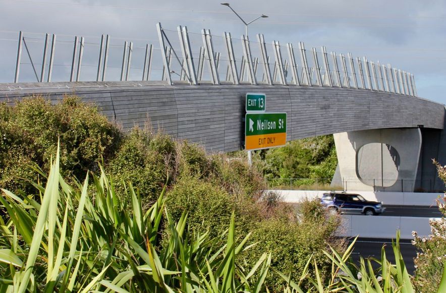 Taumanu Reserve Bridge - anti-throw mesh screens