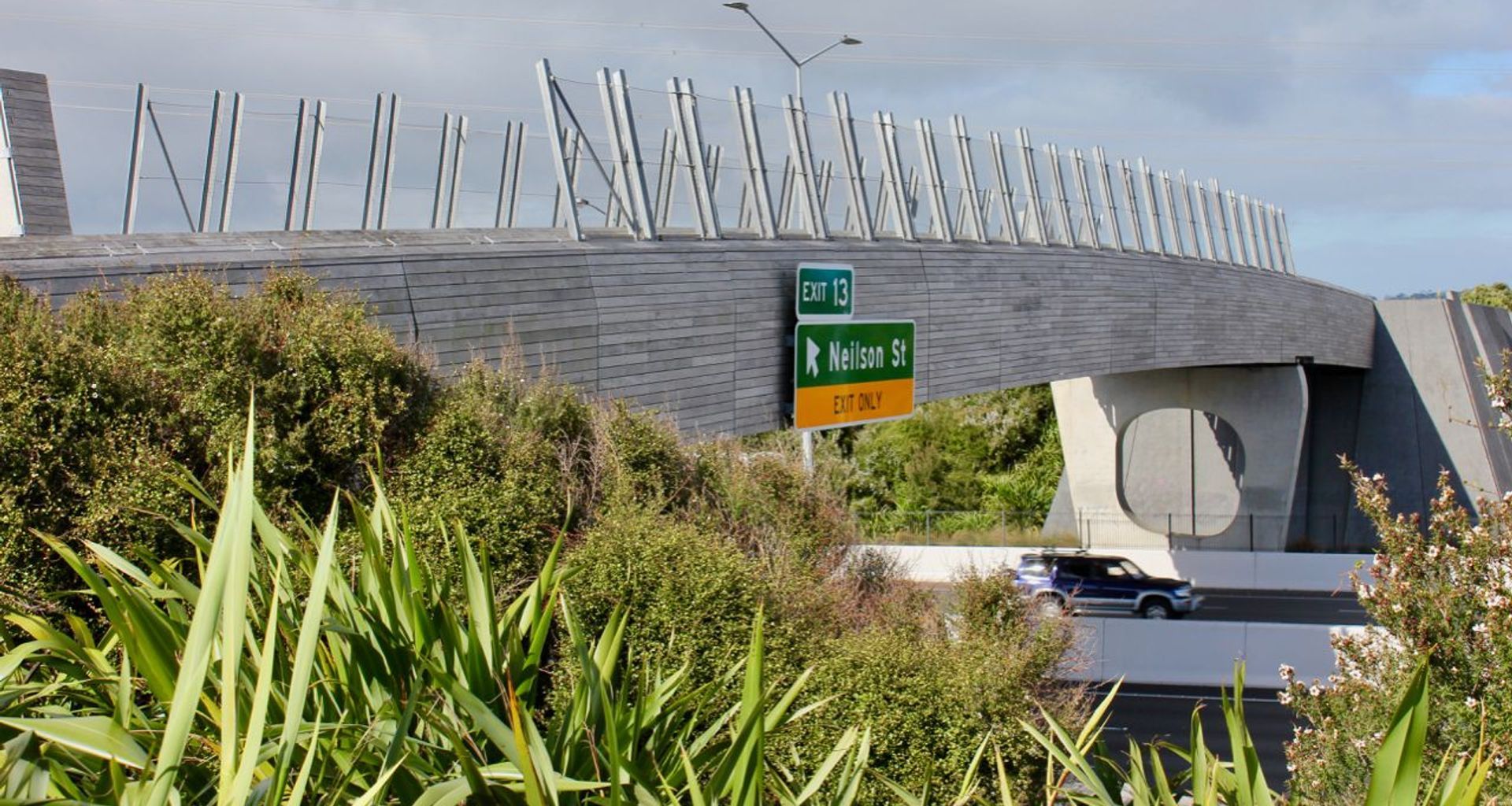 Taumanu Reserve Bridge - anti-throw mesh screens banner