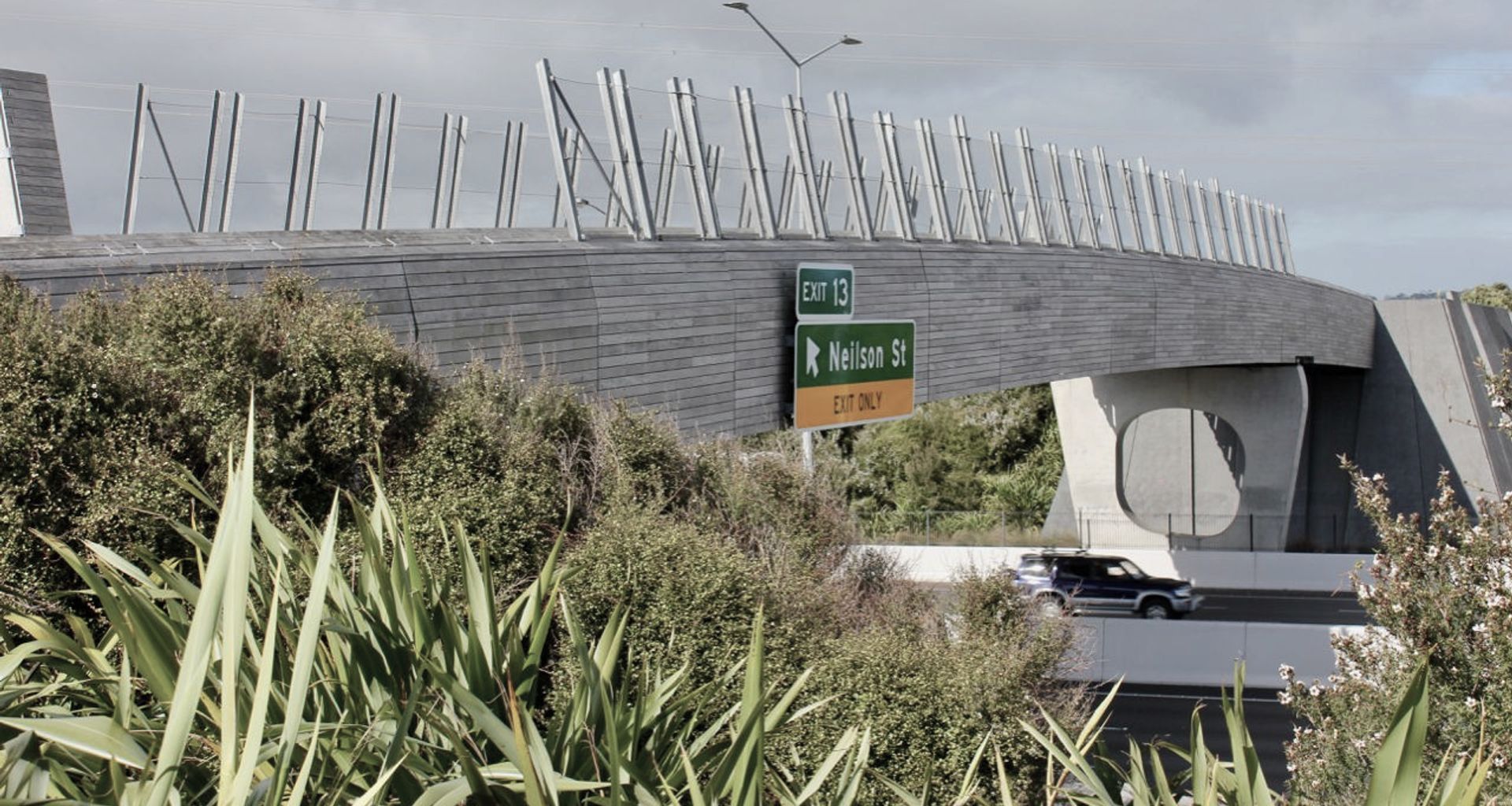 Taumanu Reserve Bridge - anti-throw mesh screens banner