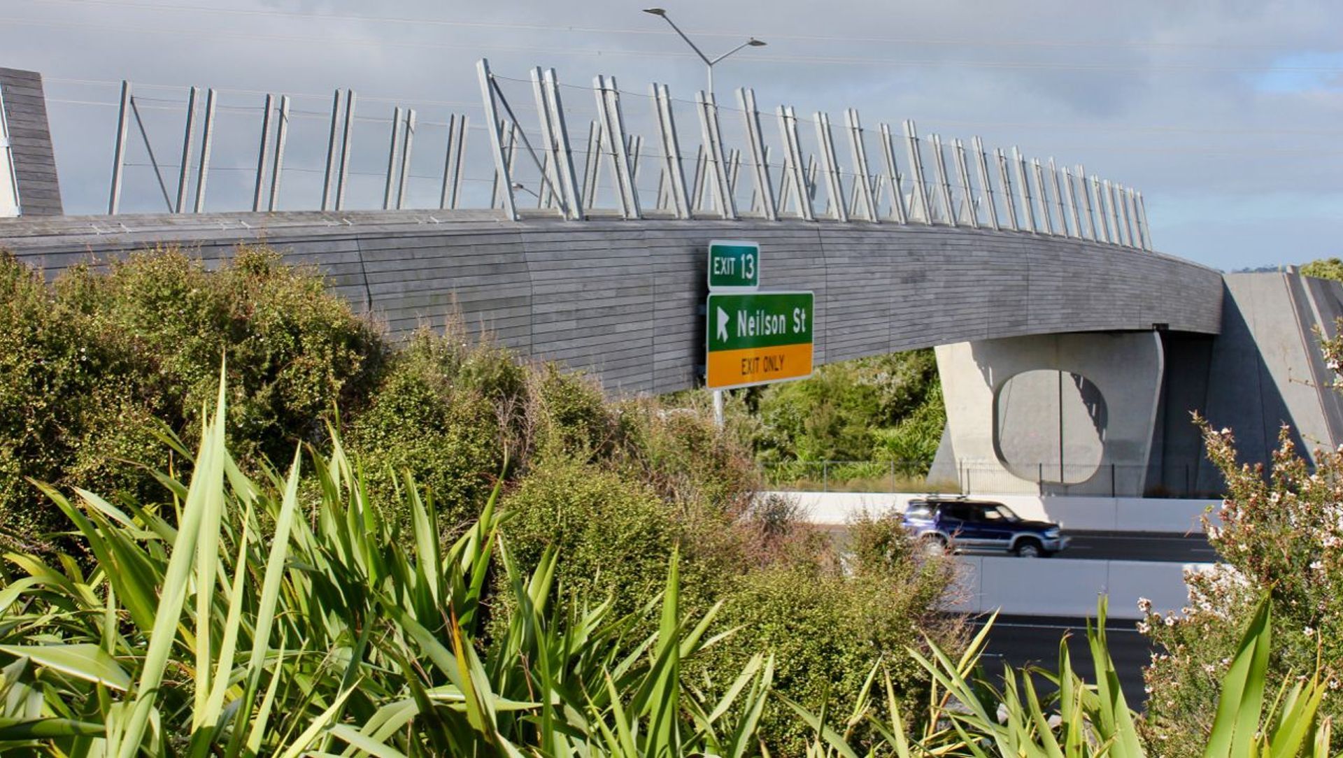 Taumanu Reserve Bridge - anti-throw mesh screens banner