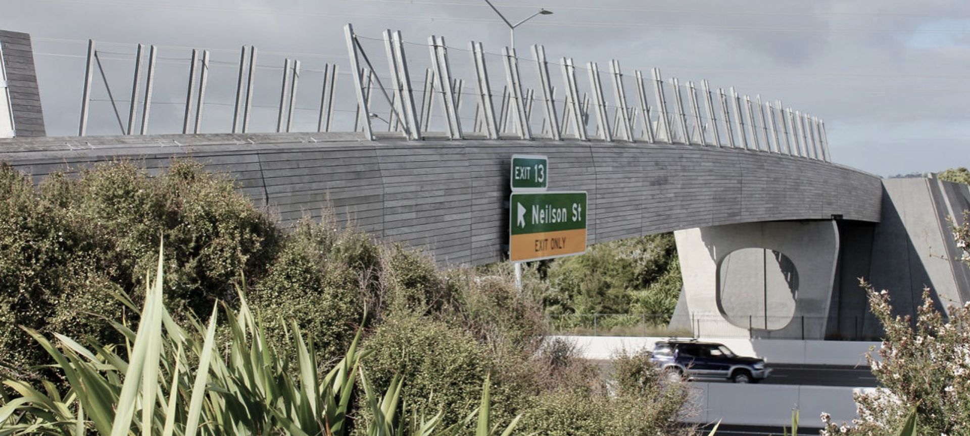 Taumanu Reserve Bridge - anti-throw mesh screens banner